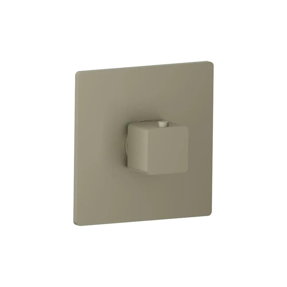 Flusso Serie 196 Trim for 3/4" Thermostatic Valve - Use with TVH.4201 by Flusso