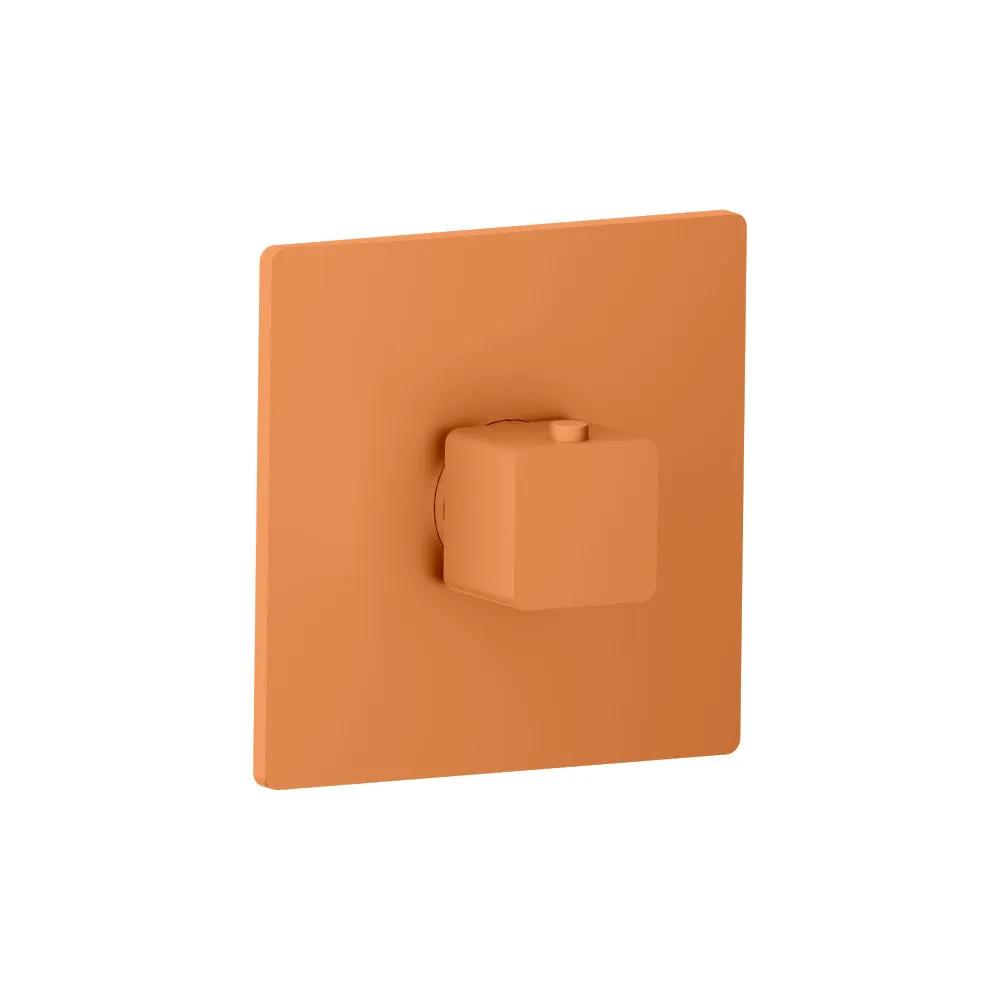 Flusso Serie 196 Trim for 3/4" Thermostatic Valve - Use with TVH.4201 by Flusso