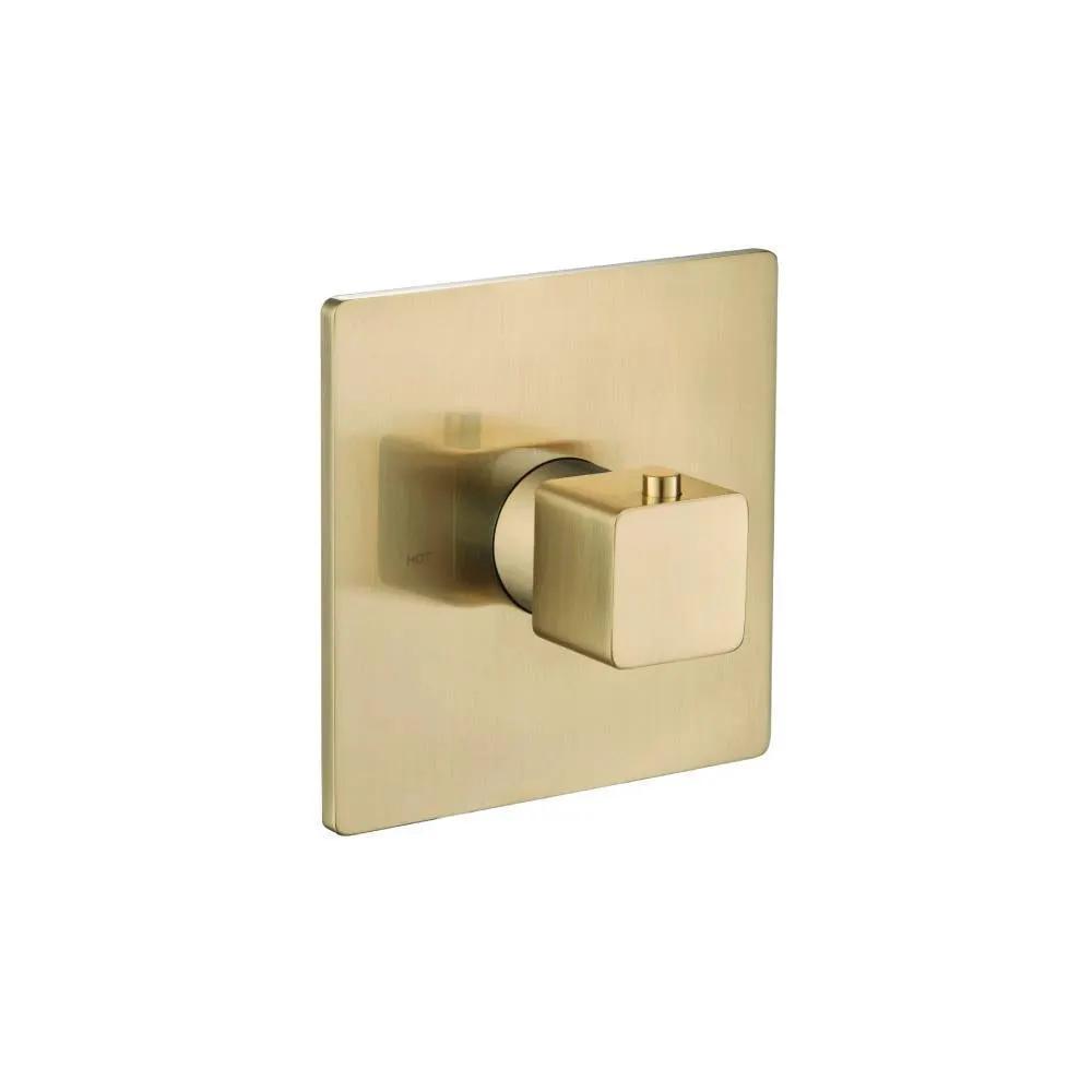 Flusso Serie 196 3/4" Thermostatic Valve with Trim by Flusso