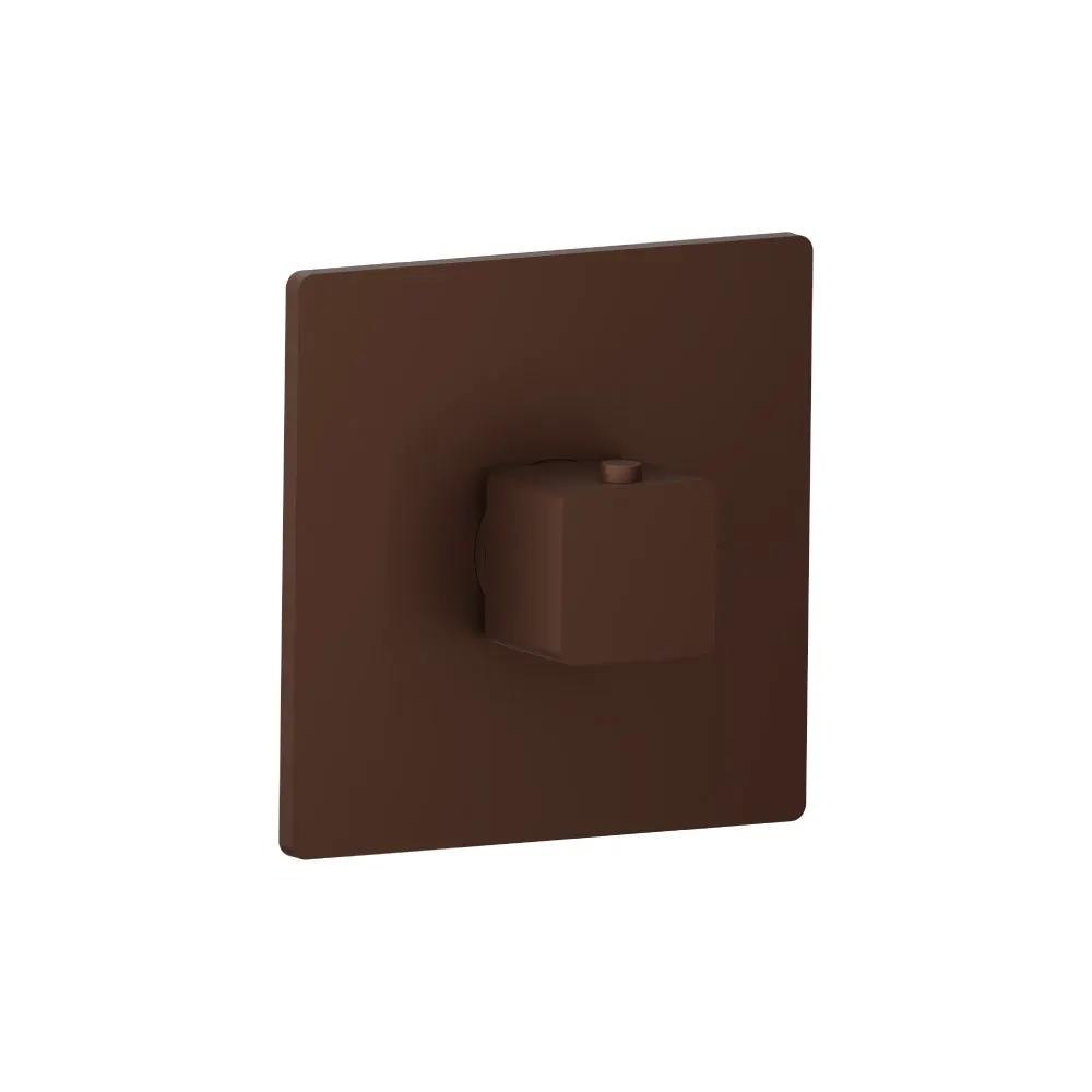 Flusso Serie 196 Trim for 3/4" Thermostatic Valve - Use with TVH.4201 by Flusso