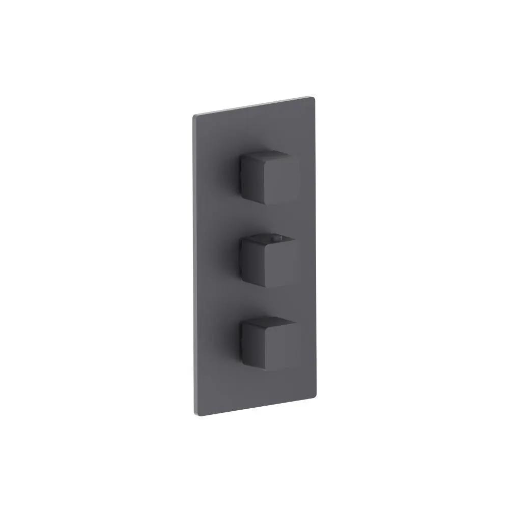 Flusso Serie 196 3/4" Thermostatic Valve and Trim - 2 Outputs by Flusso