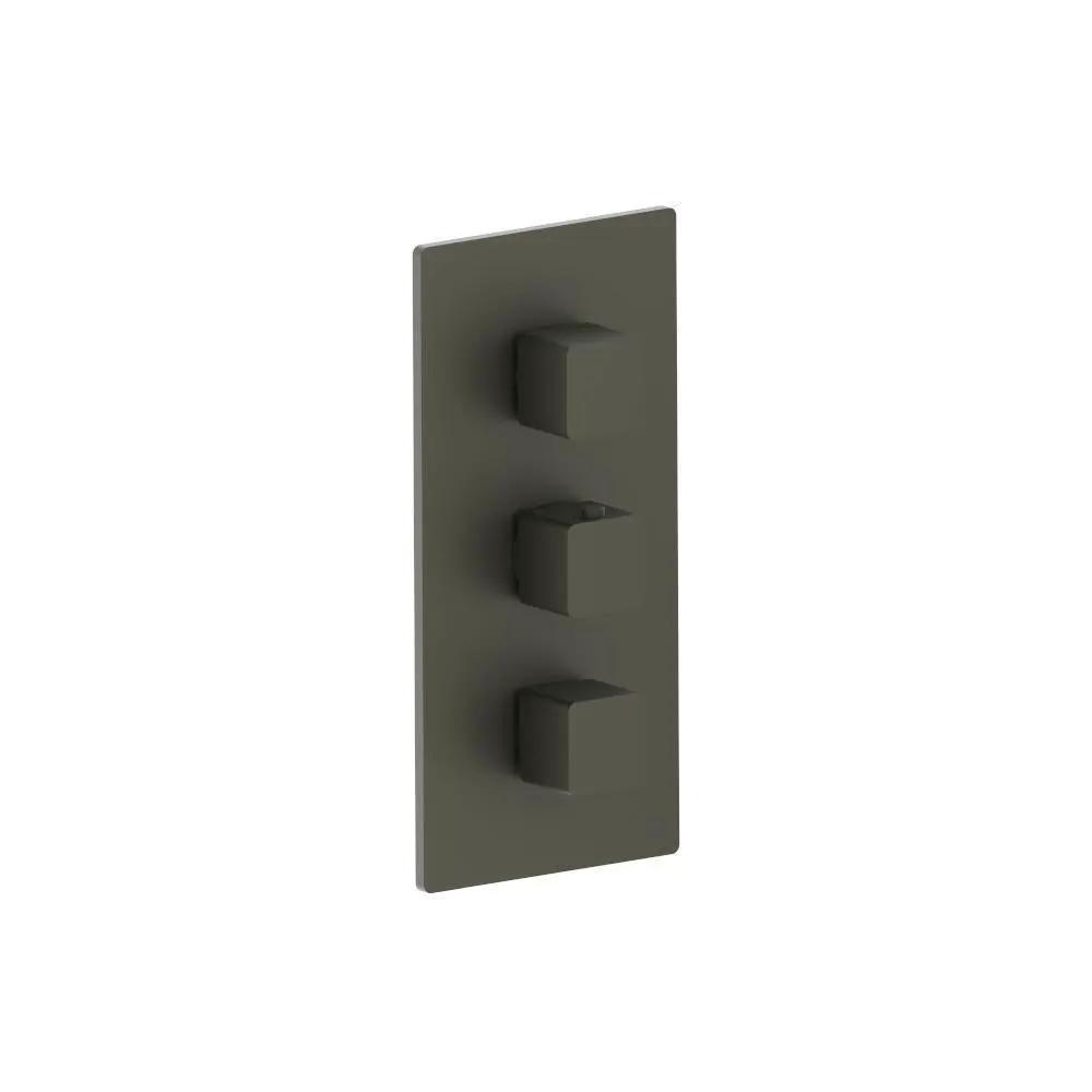 Flusso Serie 196 3/4" Thermostatic Valve and Trim - 2 Outputs by Flusso