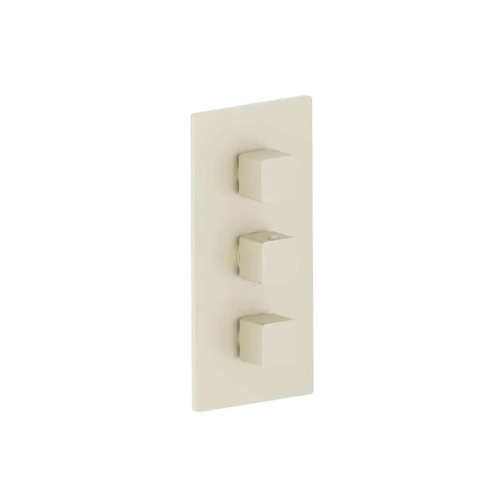 Flusso Serie 196 3/4" Thermostatic Valve and Trim - 2 Outputs by Flusso