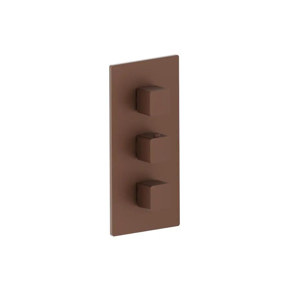 Flusso Serie 196 3/4" Thermostatic Valve and Trim - 2 Outputs by Flusso