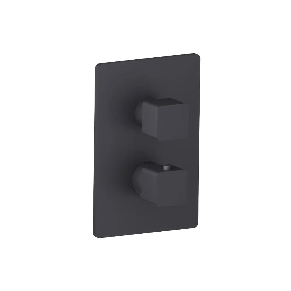 Flusso Serie 196 3/4 " Thermostatic Valve and Trim - with 2-Way Diverter - 2 Output by Flusso