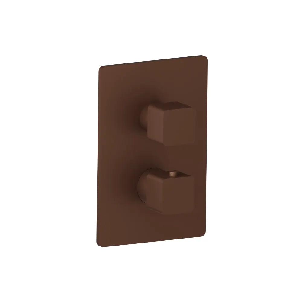 Flusso Serie 196 3/4 " Thermostatic Valve and Trim - with 2-Way Diverter - 2 Output by Flusso