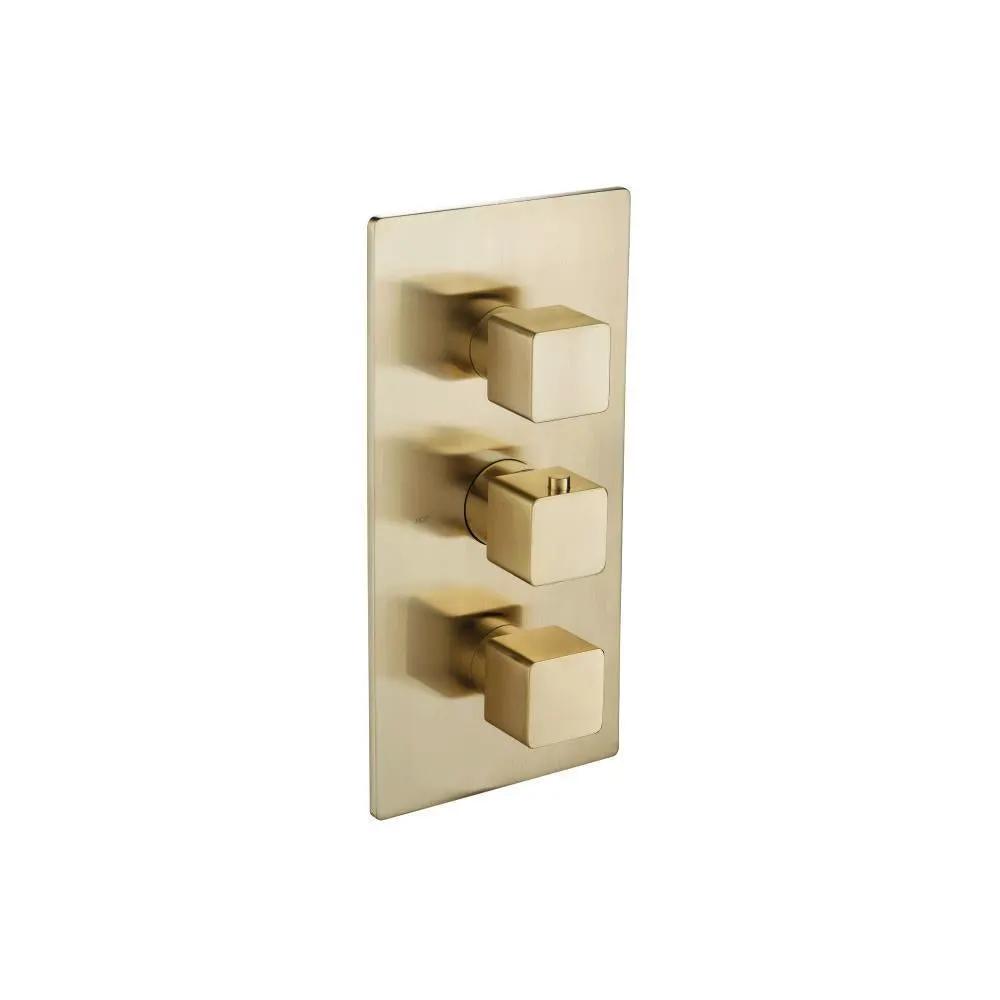 Flusso Serie 196 3/4" Thermostatic Valve and Trim - 2 Outputs by Flusso