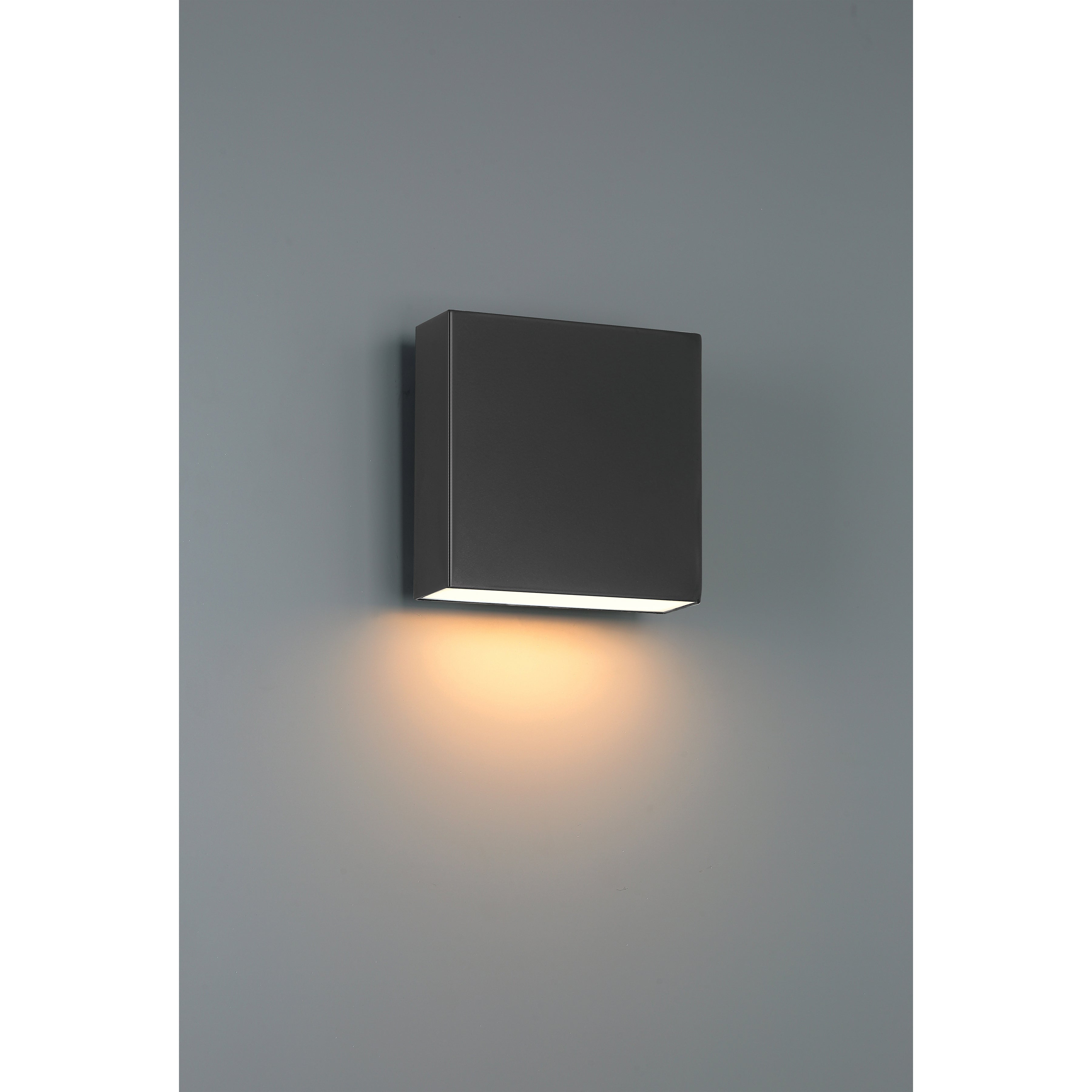 black led wall mount