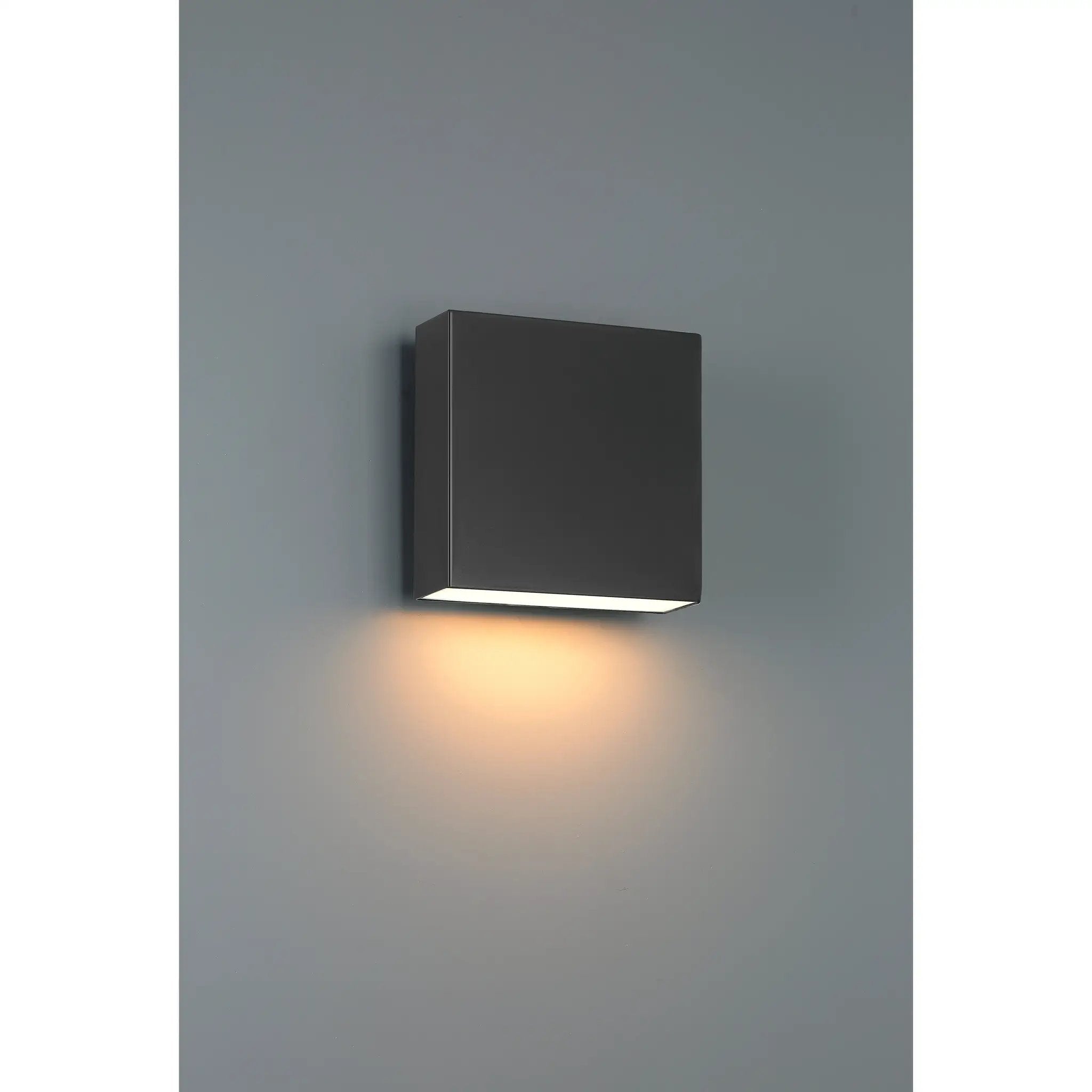 black led wall mount
