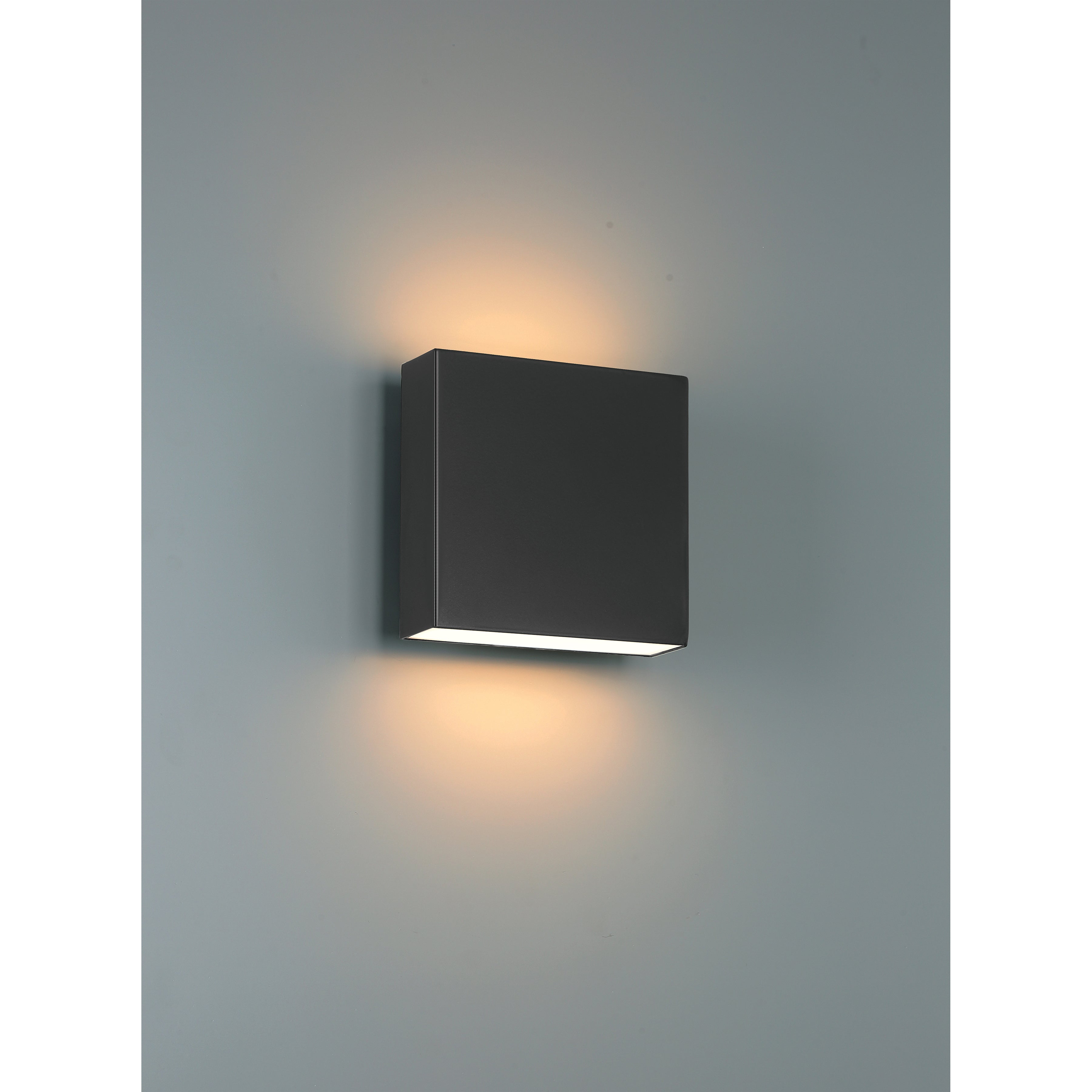 black led wall mount