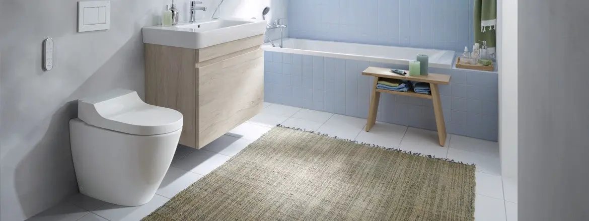 concealed cistern