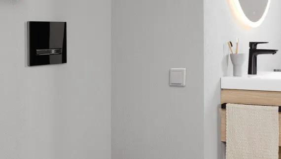 flush control