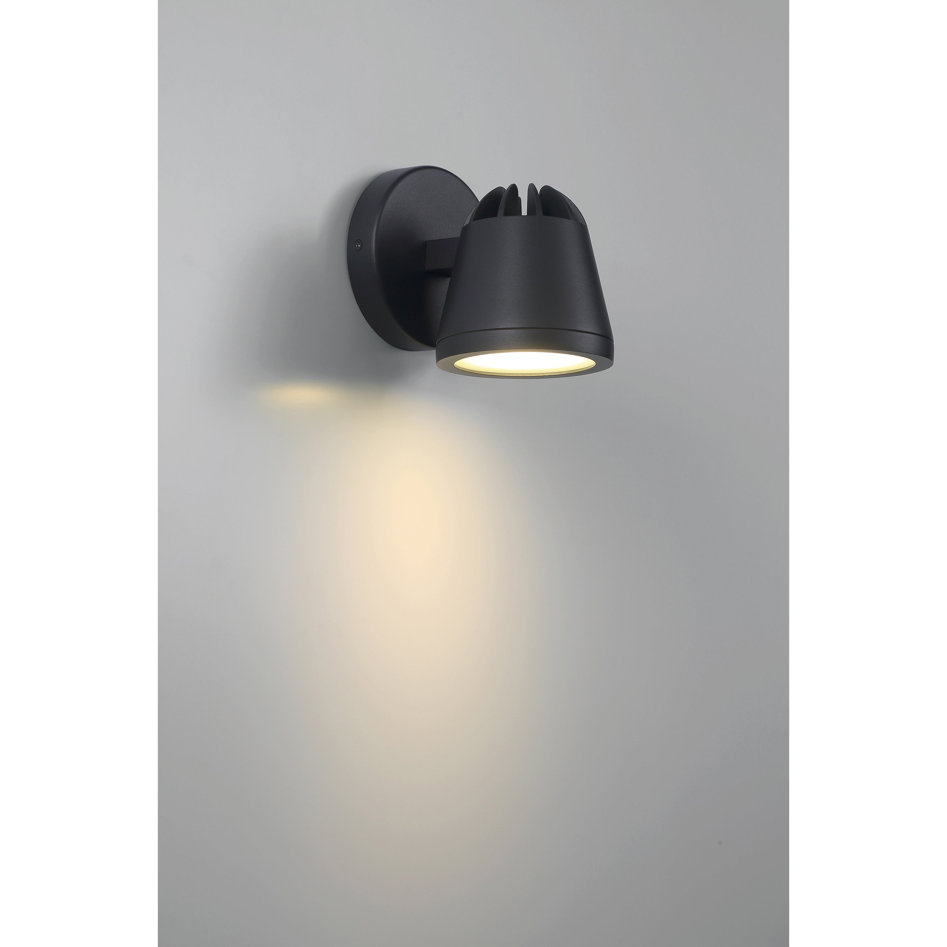 black outdoor adjustable light