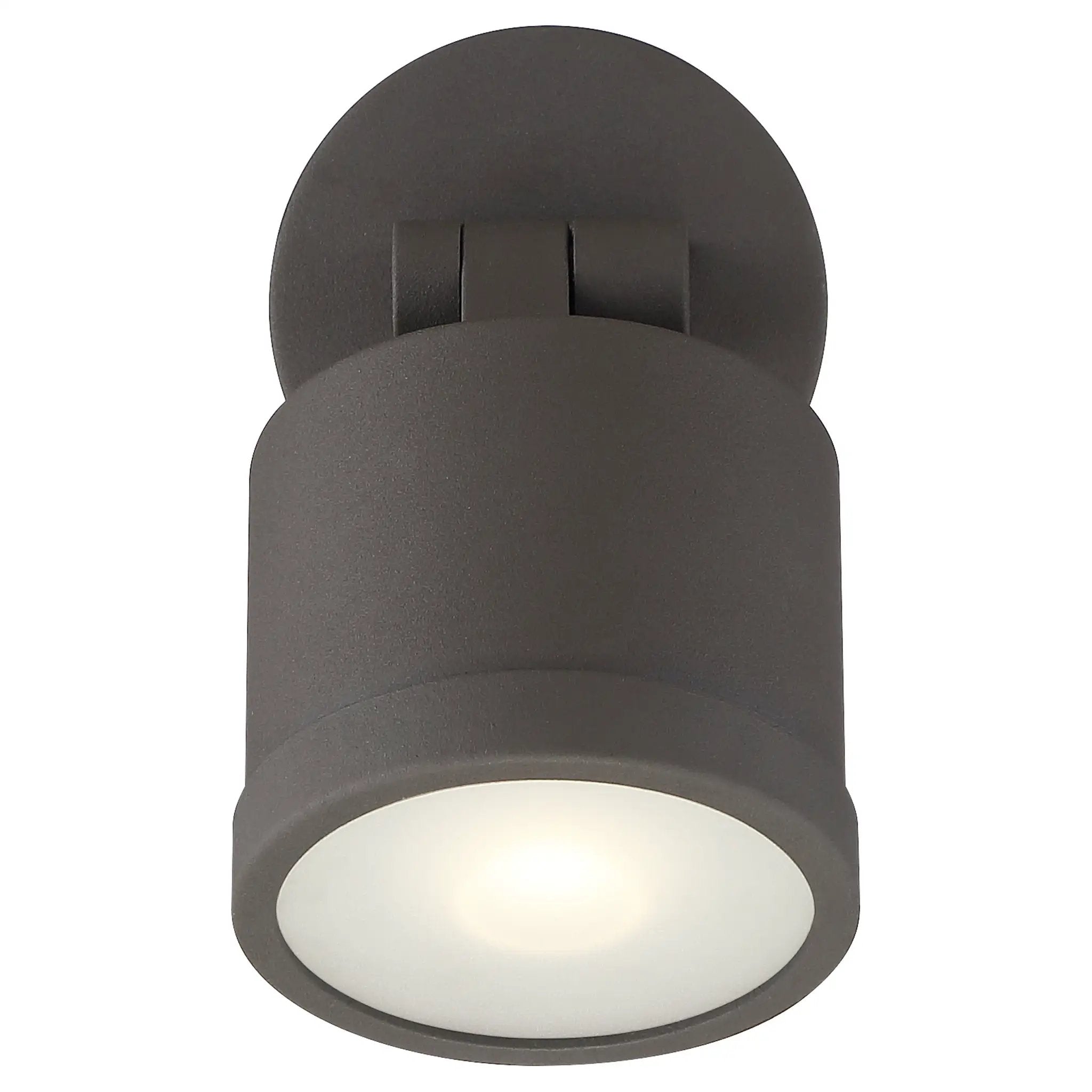 bronze outdoor adjustable light