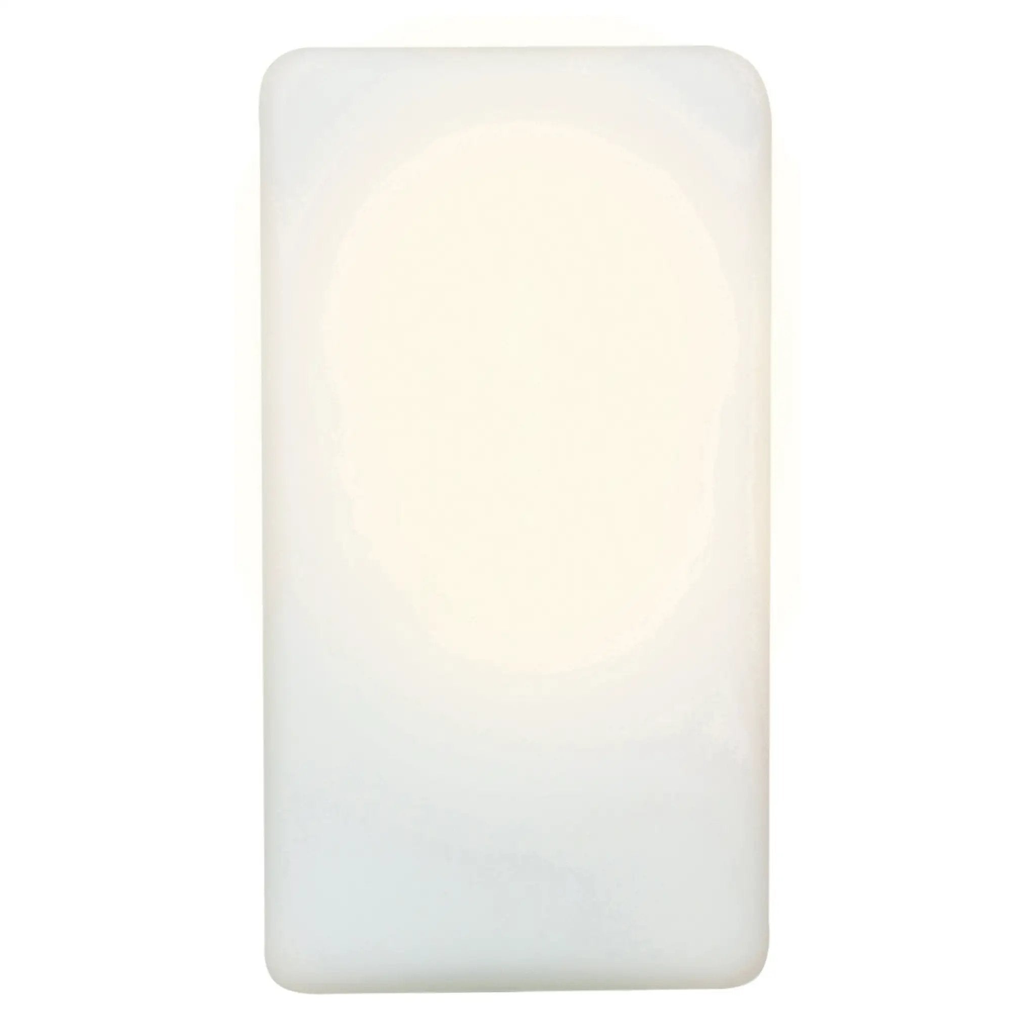 light outdoor wall mount