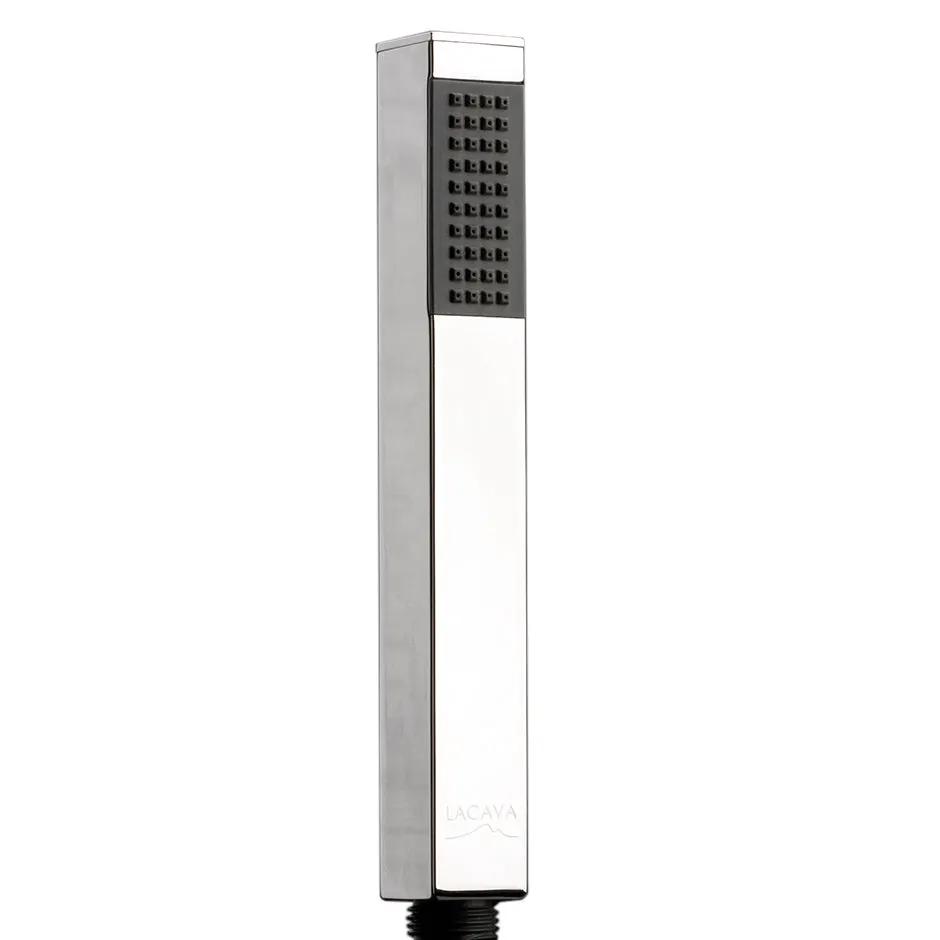 polished chrome hand shower