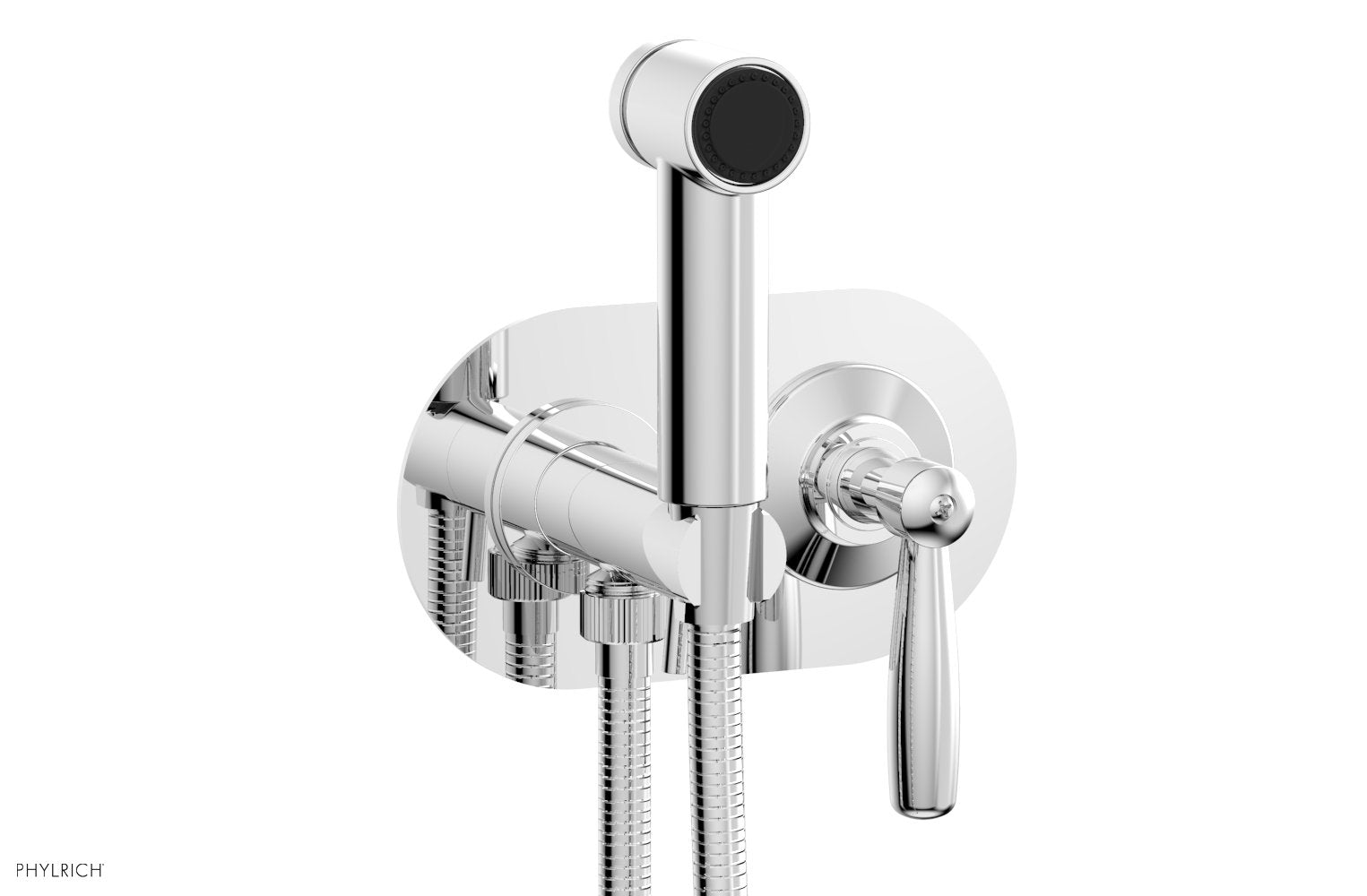polished chrome bidet