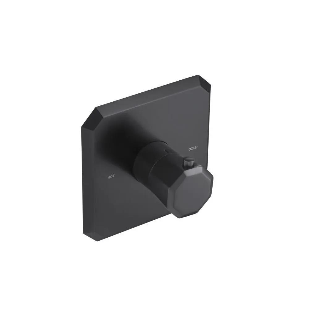 Flusso Serie 230 Trim for 3/4" Thermostatic Valve - Use with TVH.4201 by Flusso