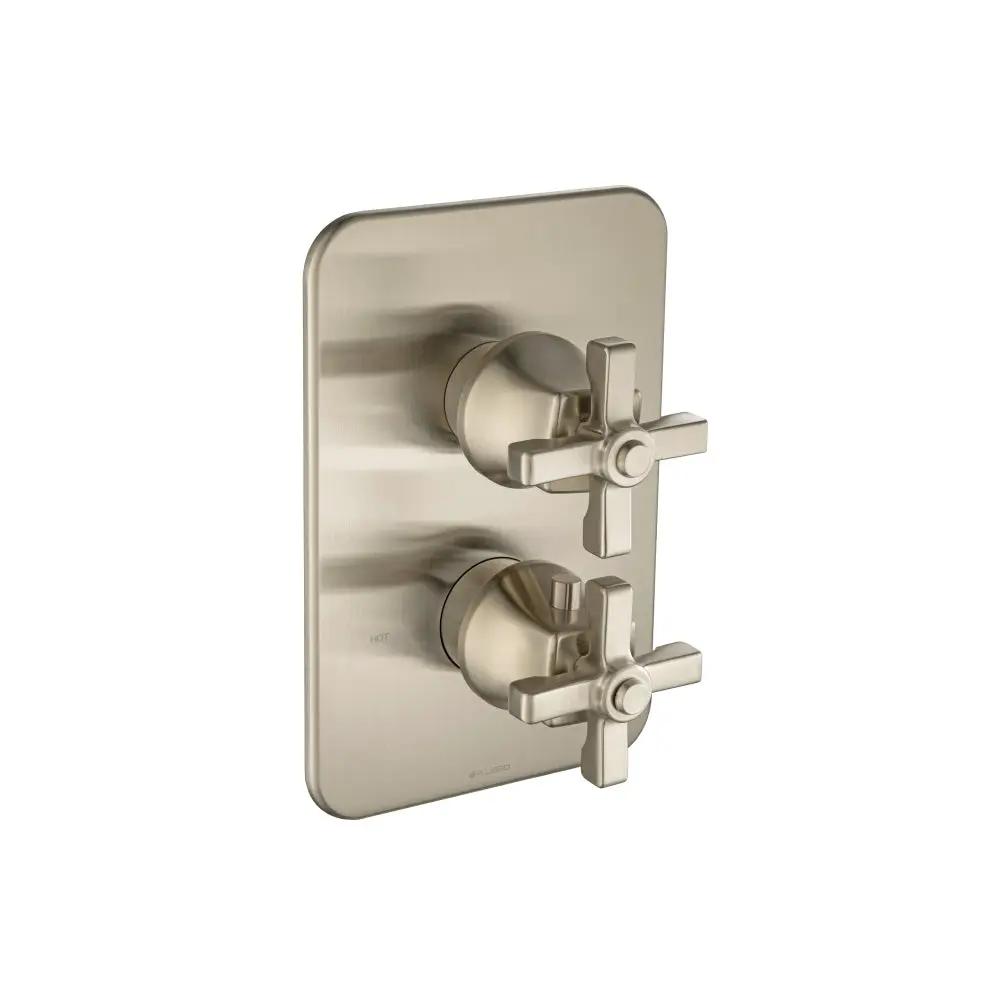 brushed nickel pvd trim