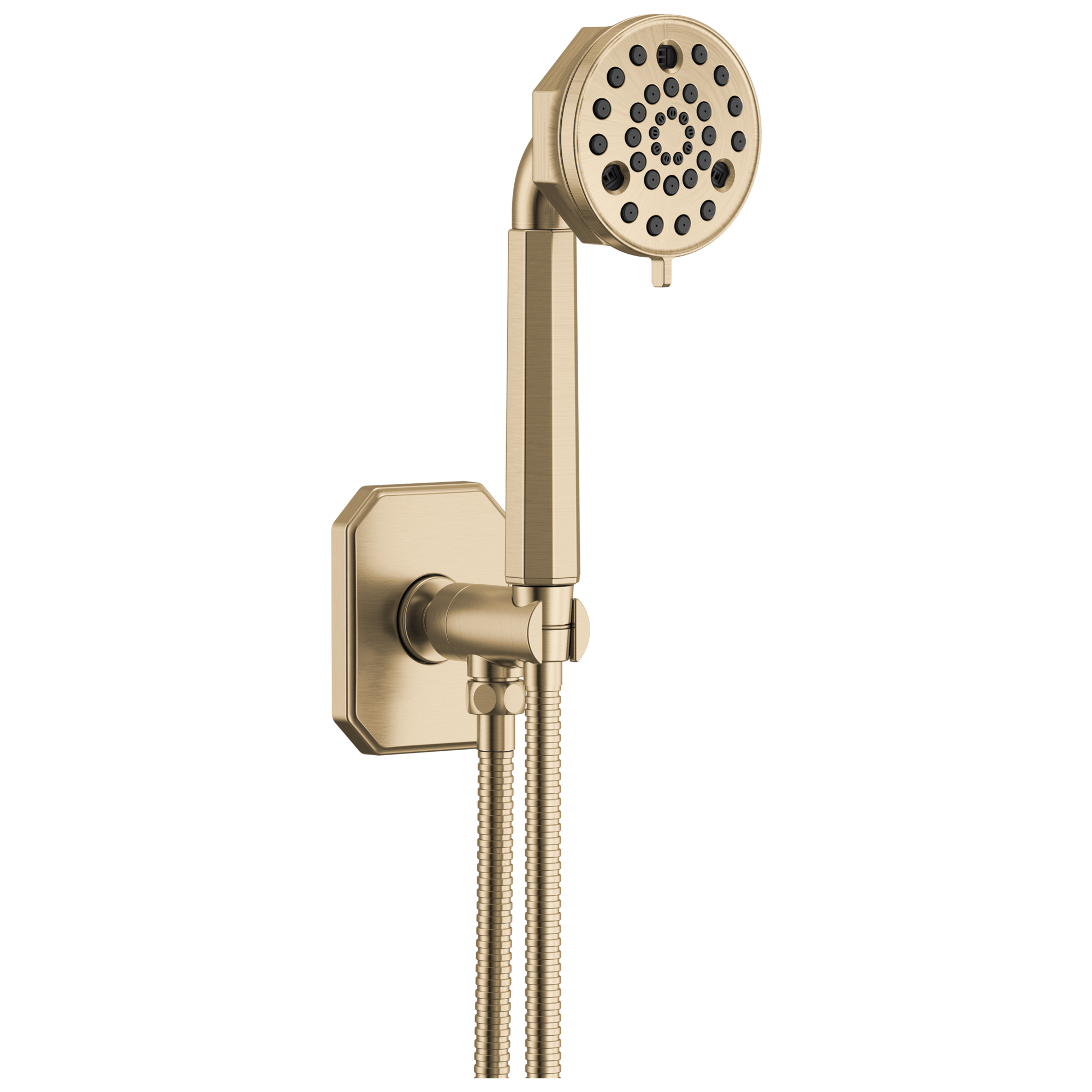 Brizo Beauclere Multi-Function Wall Mount Hand Shower by Brizo