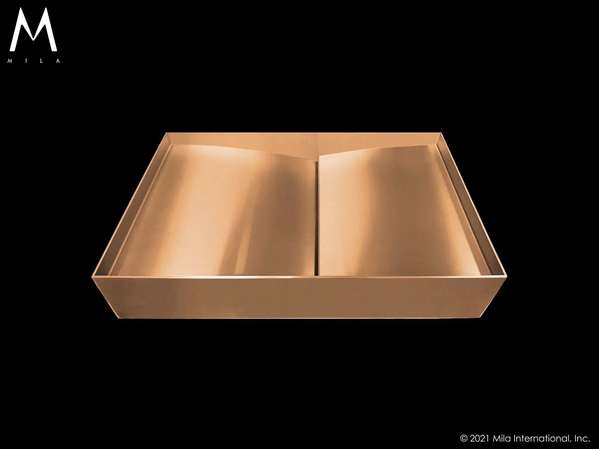MILA BATLLO Bathroom Top-Mount 20.25 x 13.25 Bathroom Sink by Mila International