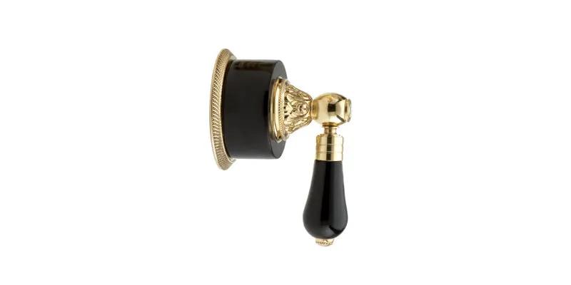 polished brass volume control