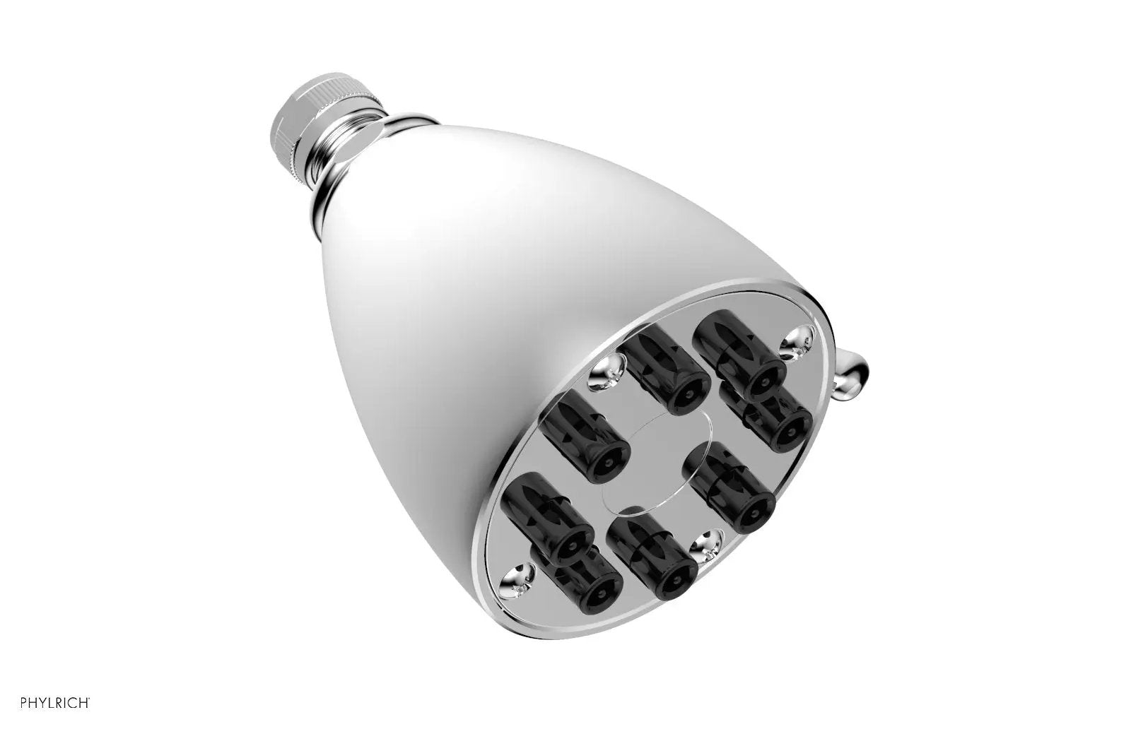 polished chrome shower head