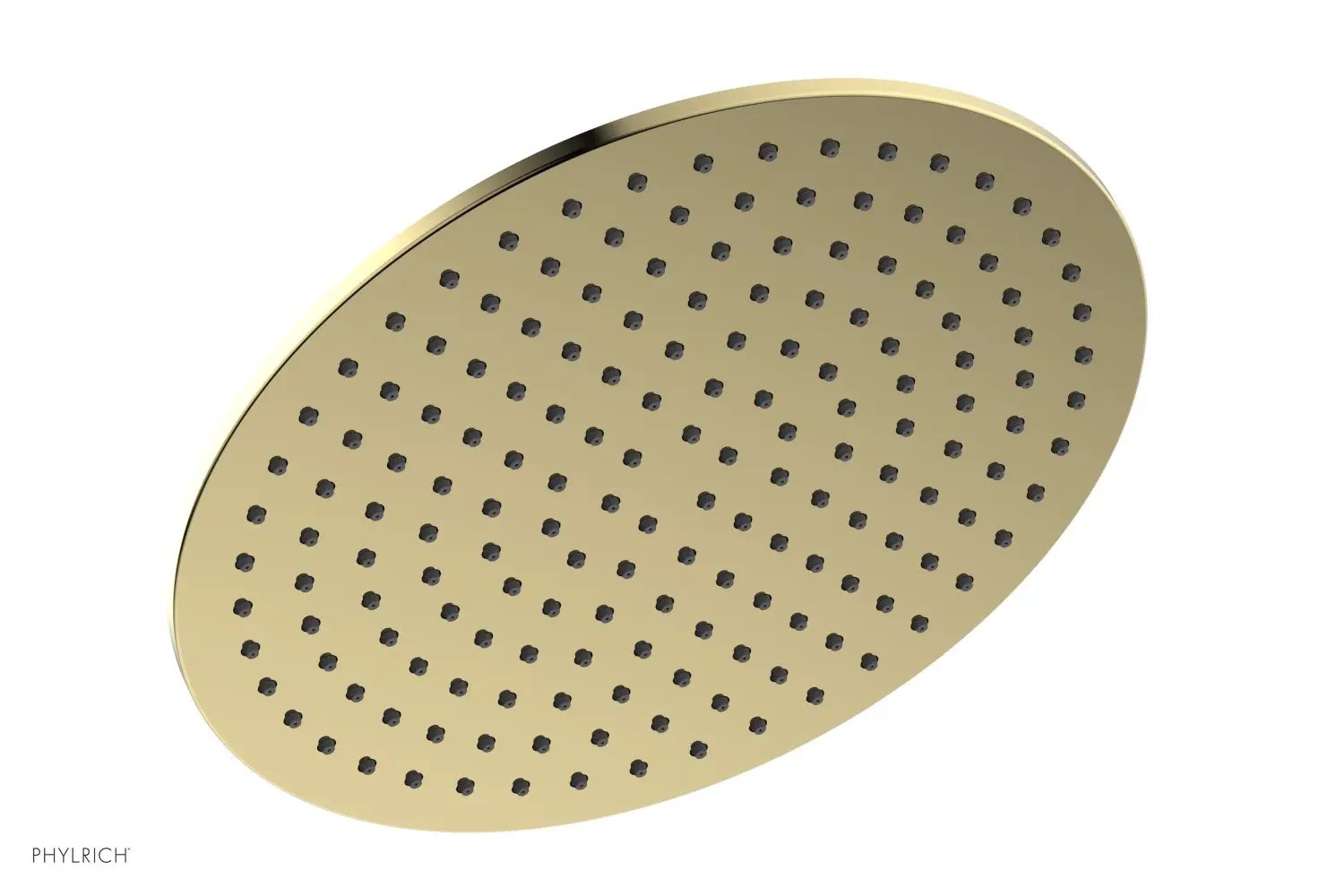 Phylrich BASIC II 12" Round Shower Head by Phylrich