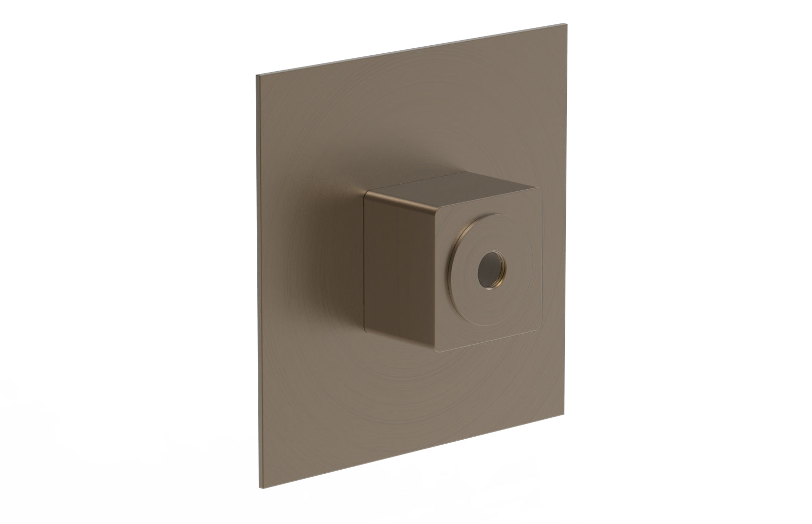 Phylrich MIX Extention Trim PB/TH Plate & Hub Assembly by Phylrich