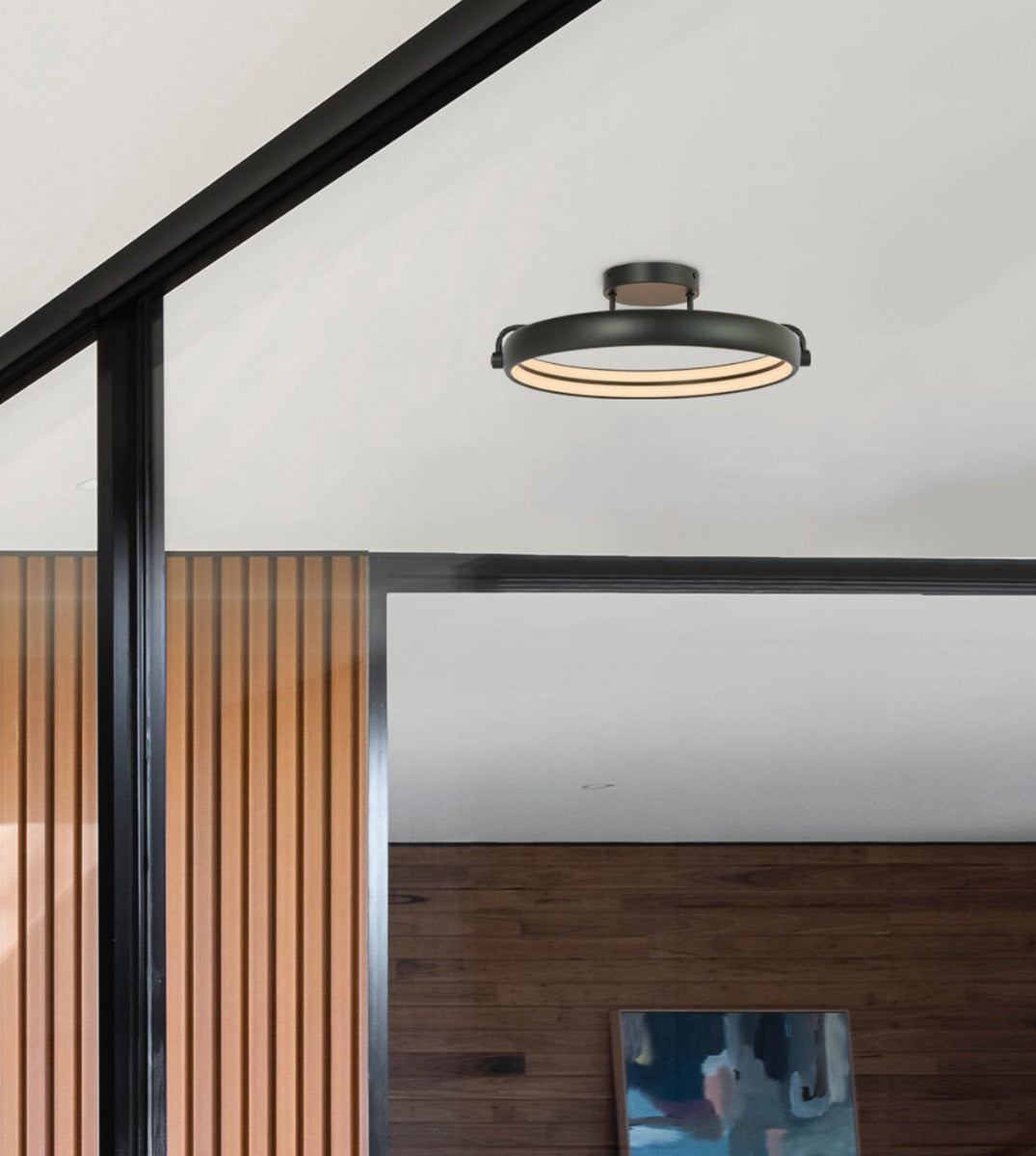 matte black/bronze light