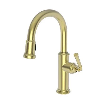 Newport Brass Gavin Prep/Bar Pull Down Faucet by Newport Brass