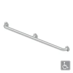 brushed stainless grab bar