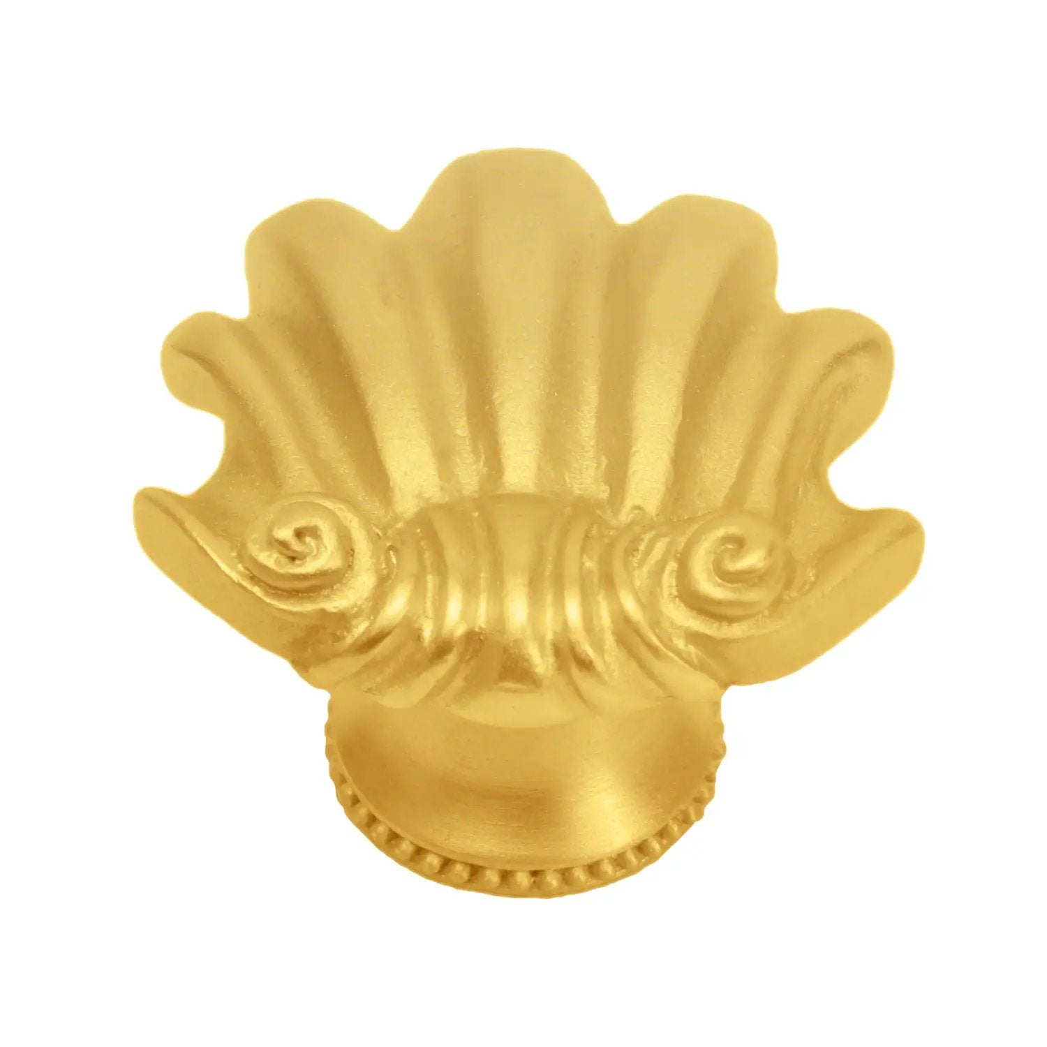 Carpe Diem Shell Medium Knob by Carpe Diem
