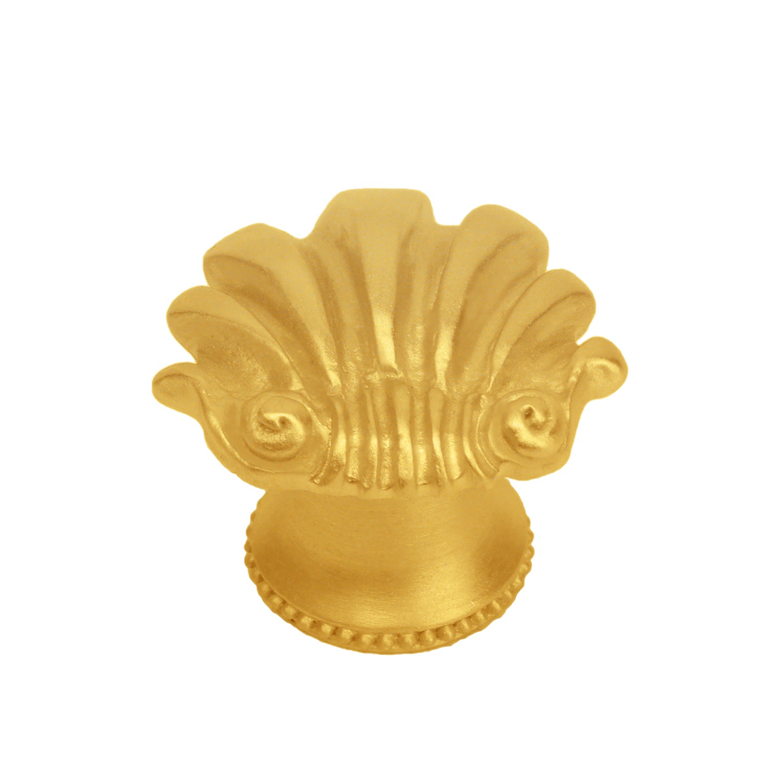 Carpe Diem Shell Small Knob