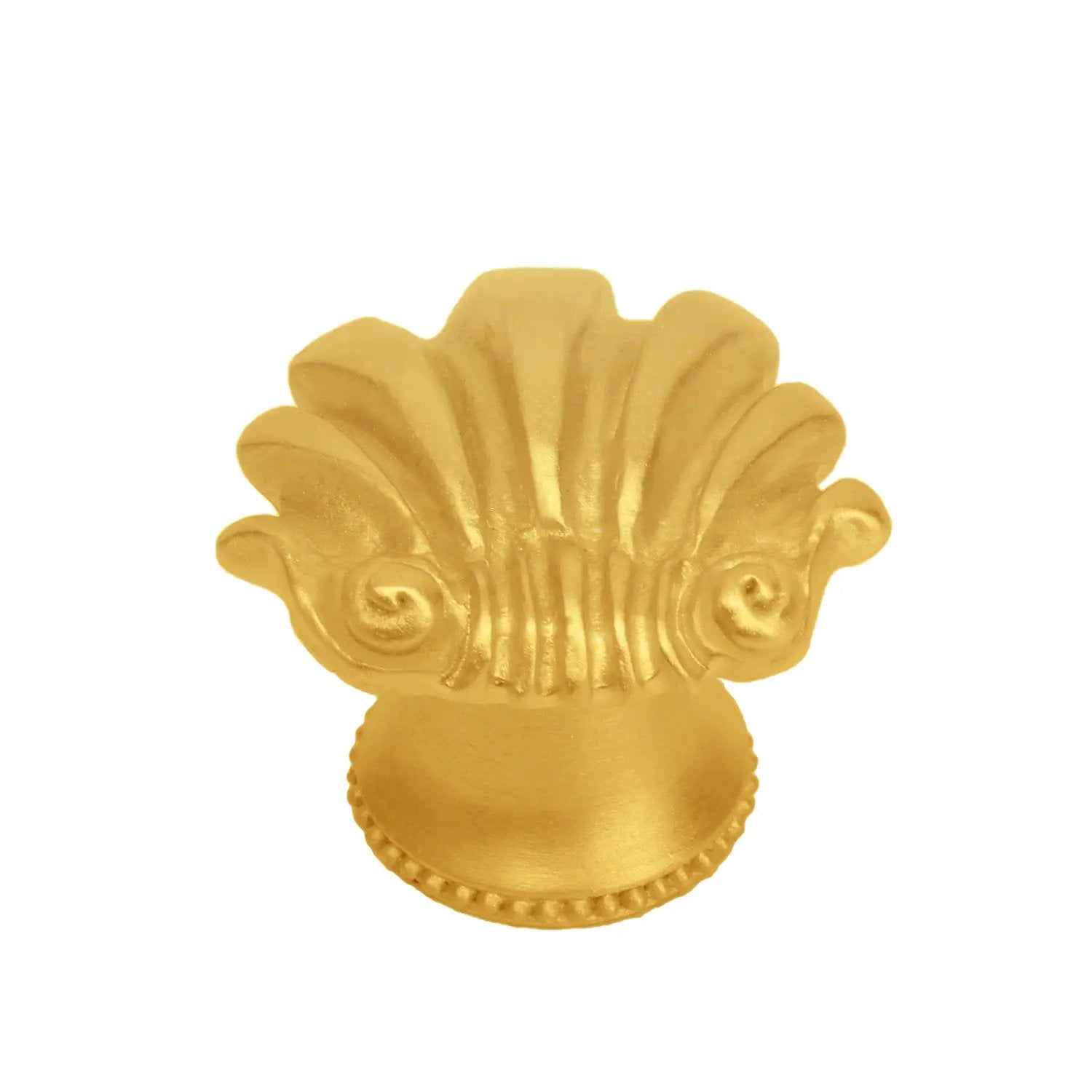 Carpe Diem Shell Small Knob by Carpe Diem