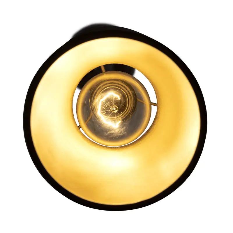 matte black/french gold pendant light