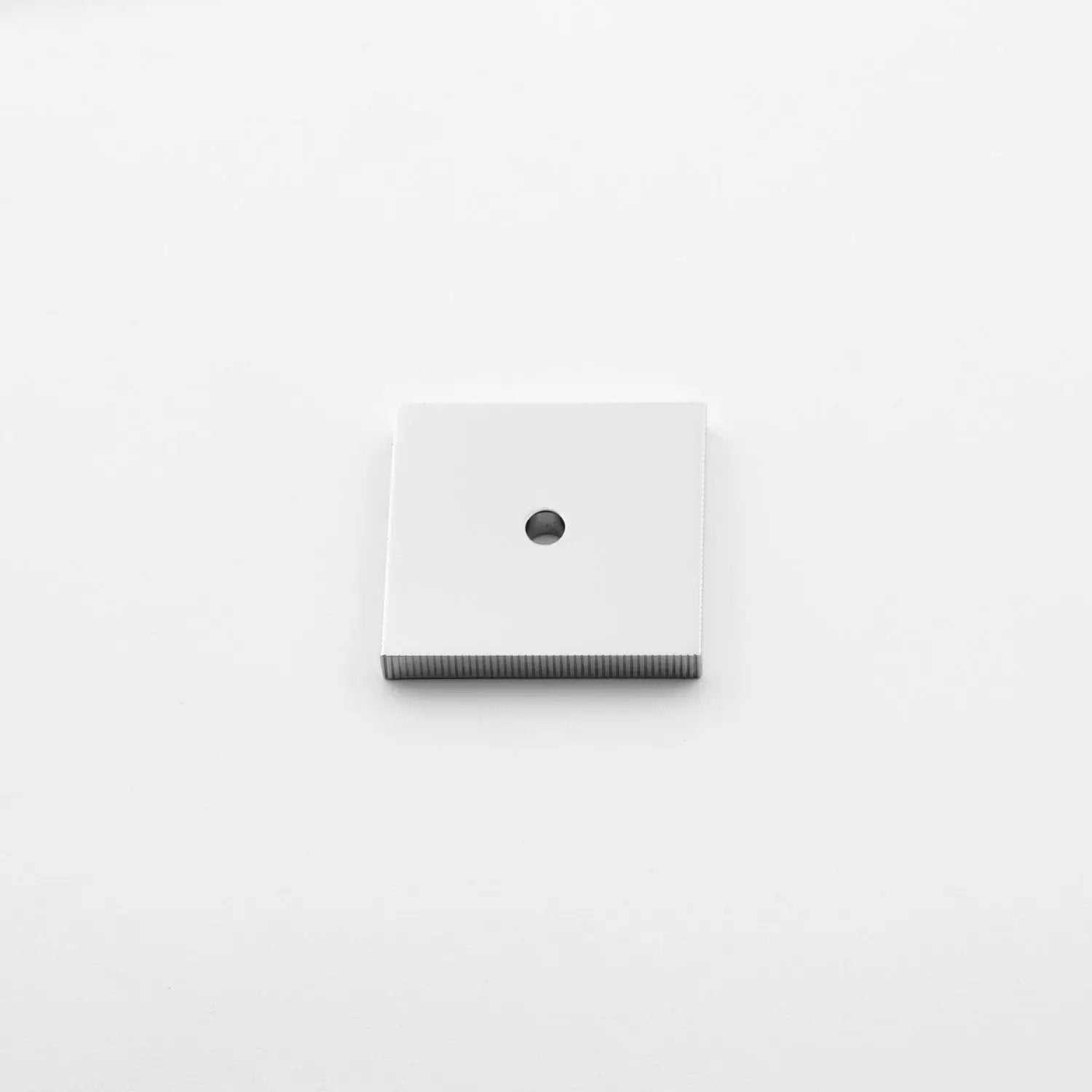 polished chrome backplate