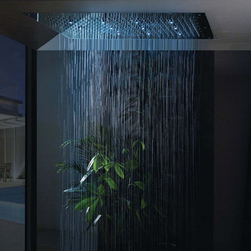 polished chrome shower head