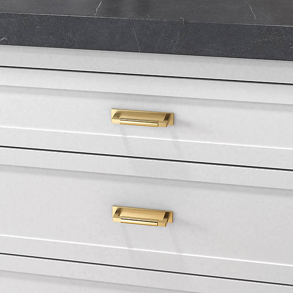 polished brass back plate