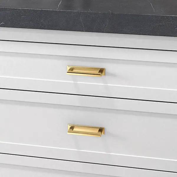 polished brass back plate