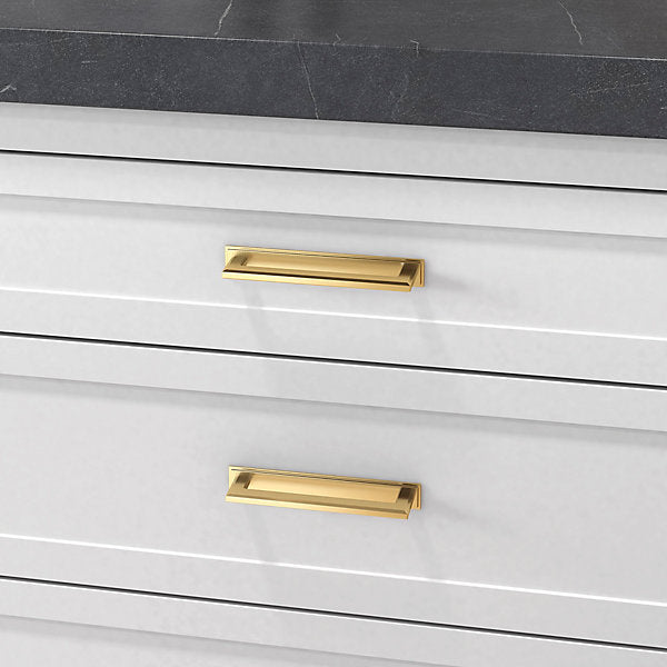 polished brass back plate