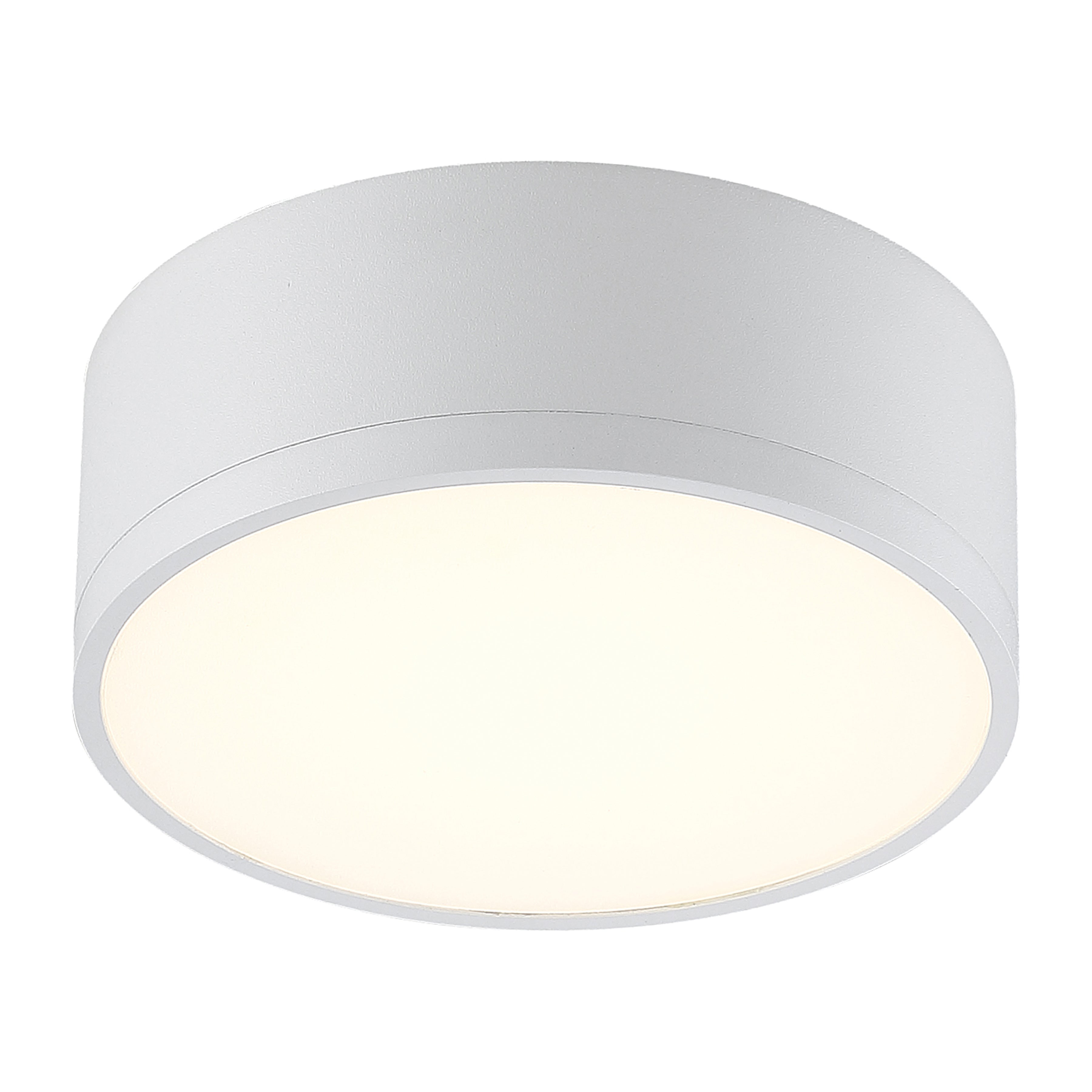 white dual voltage led flush mount