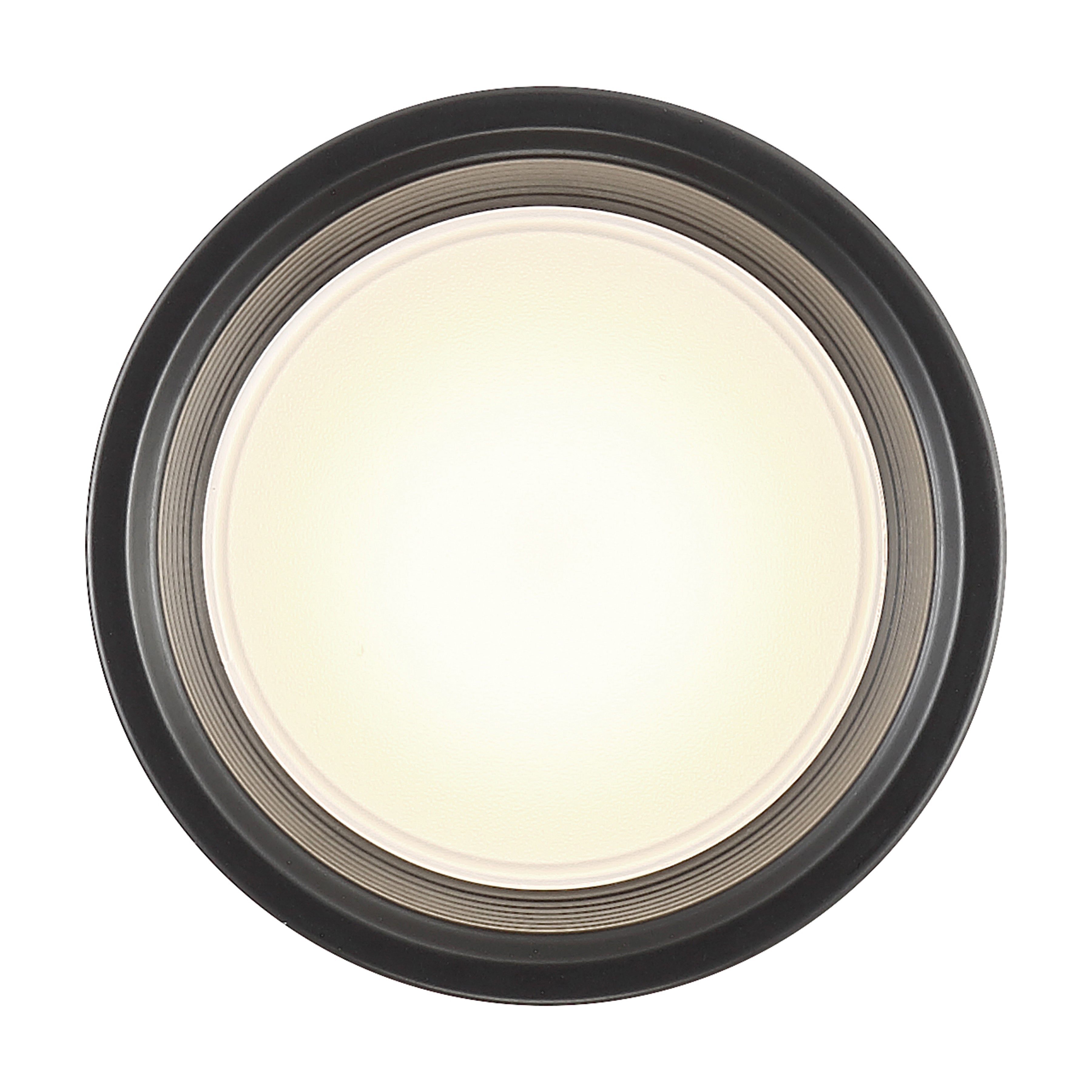 black dual voltage led flush mount