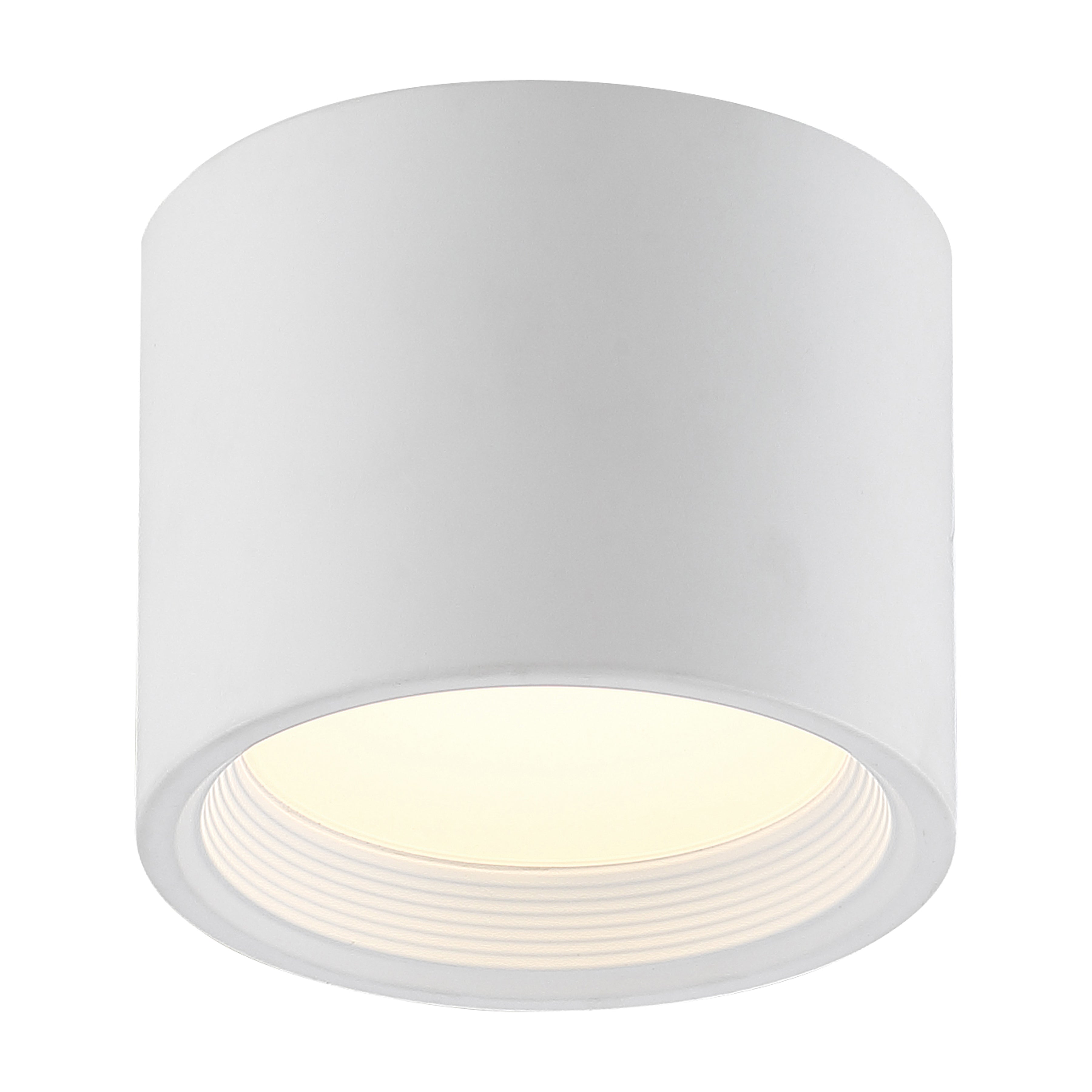 white dual voltage led flush mount