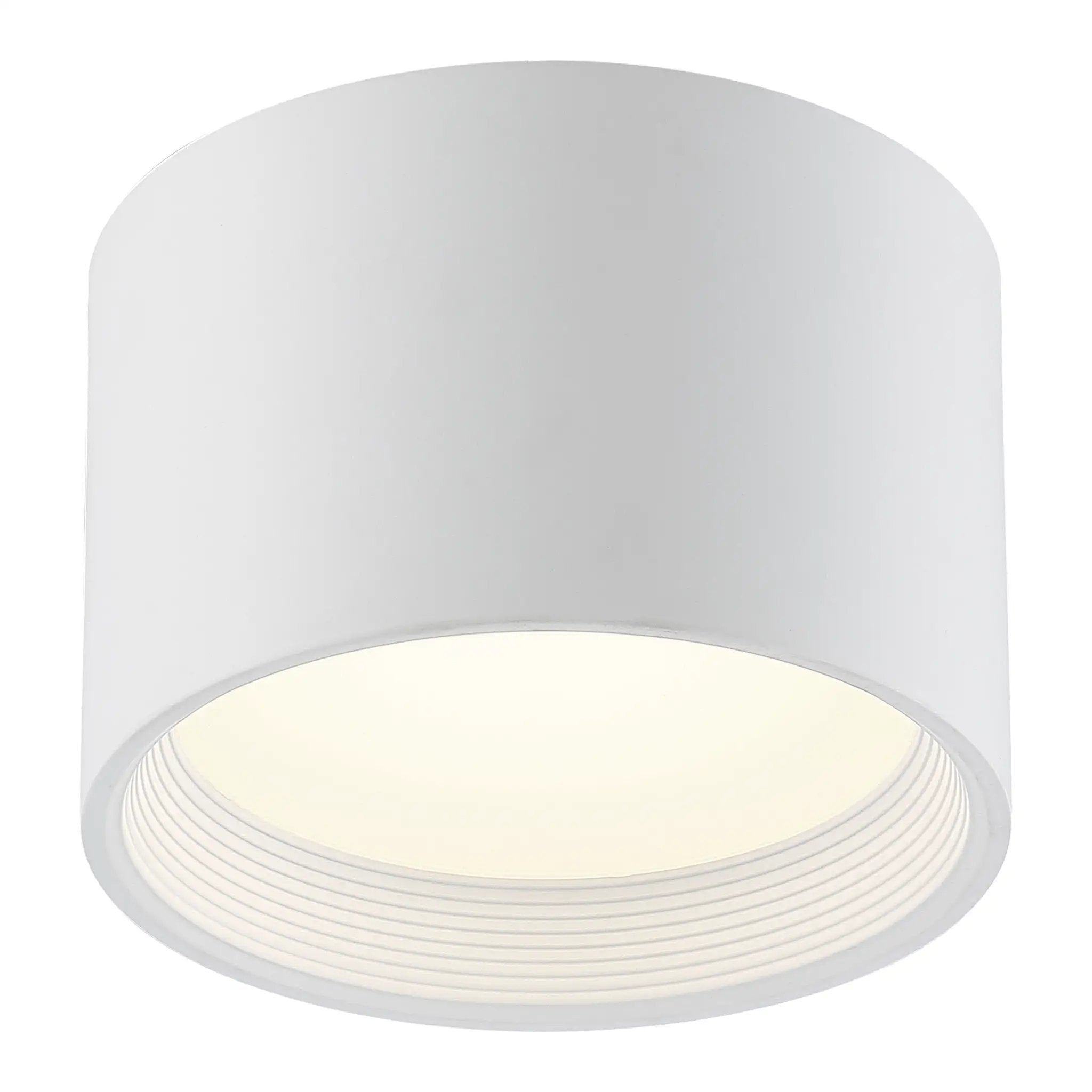 white dual voltage led flush mount