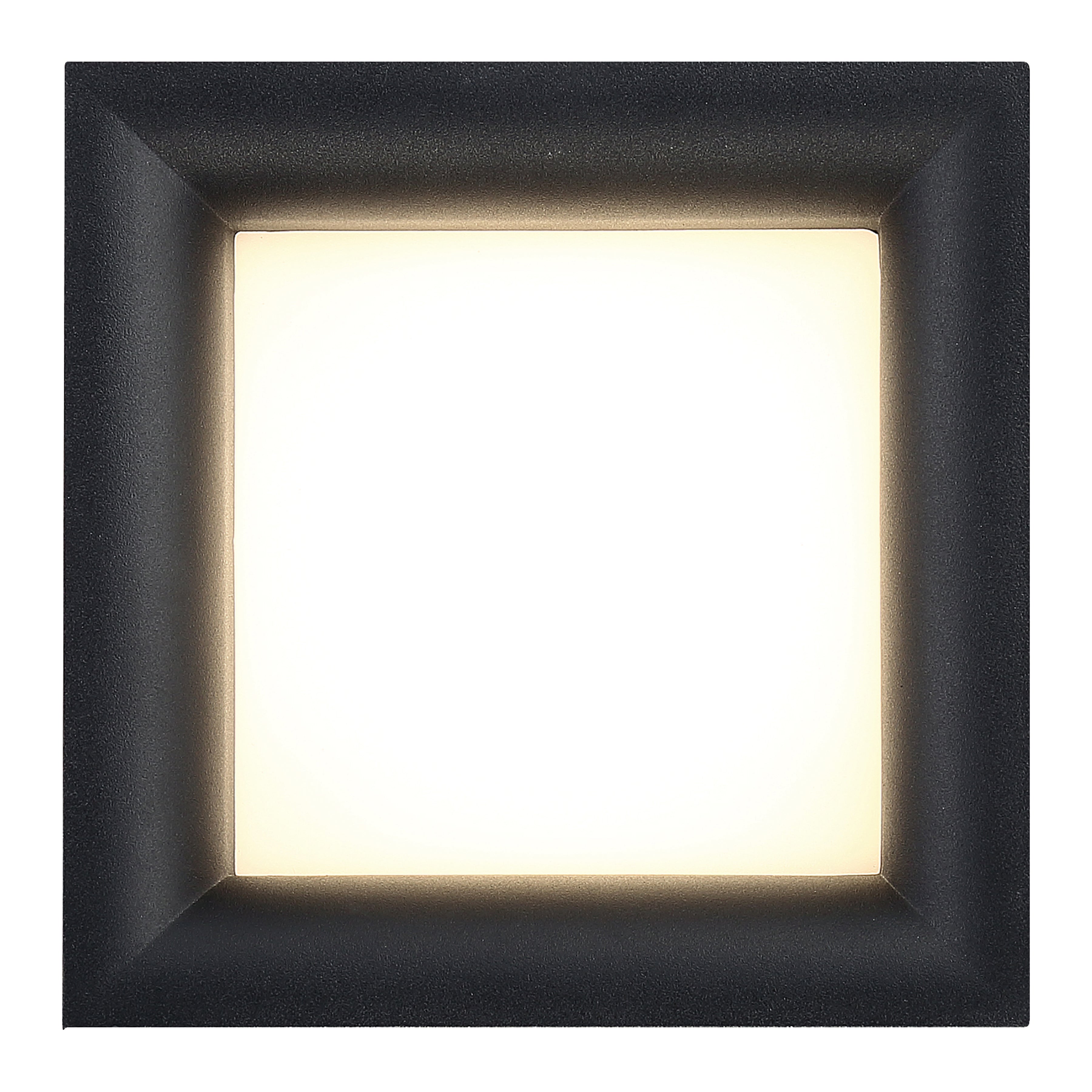 black dual voltage led flush mount