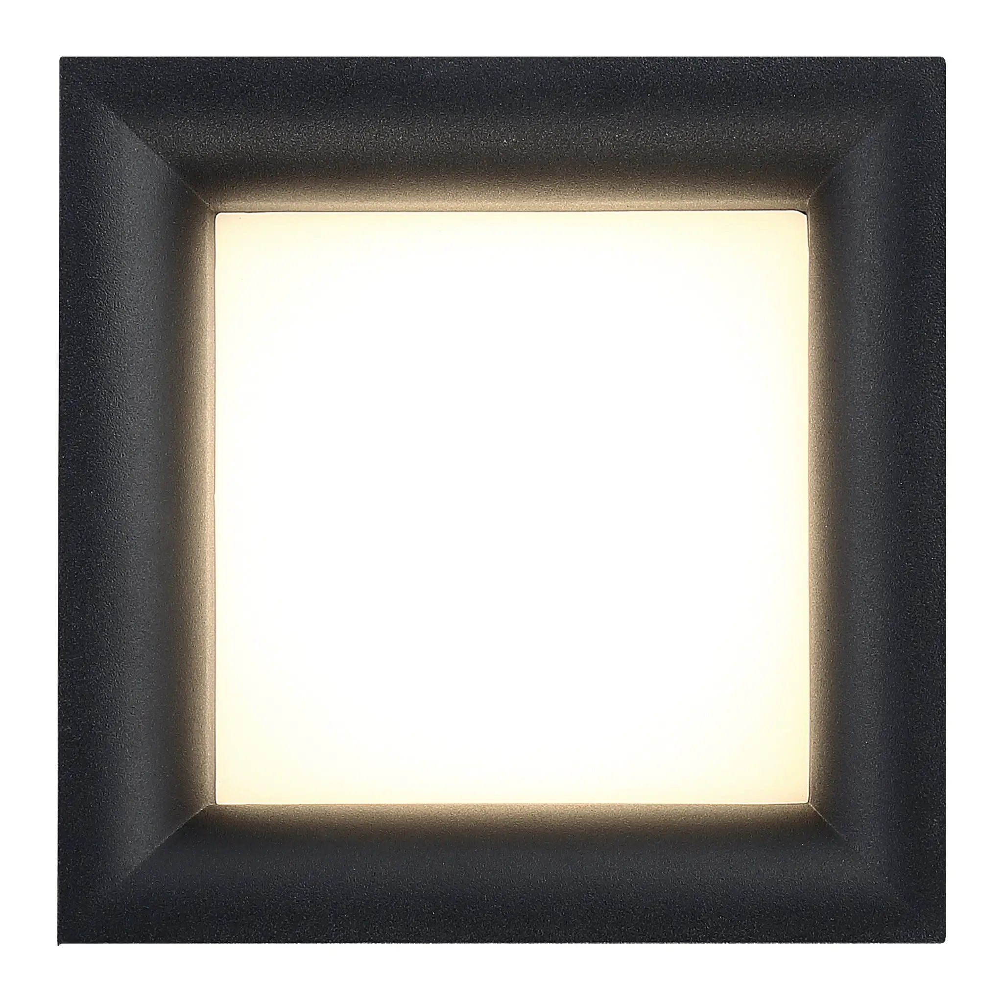 black dual voltage led flush mount