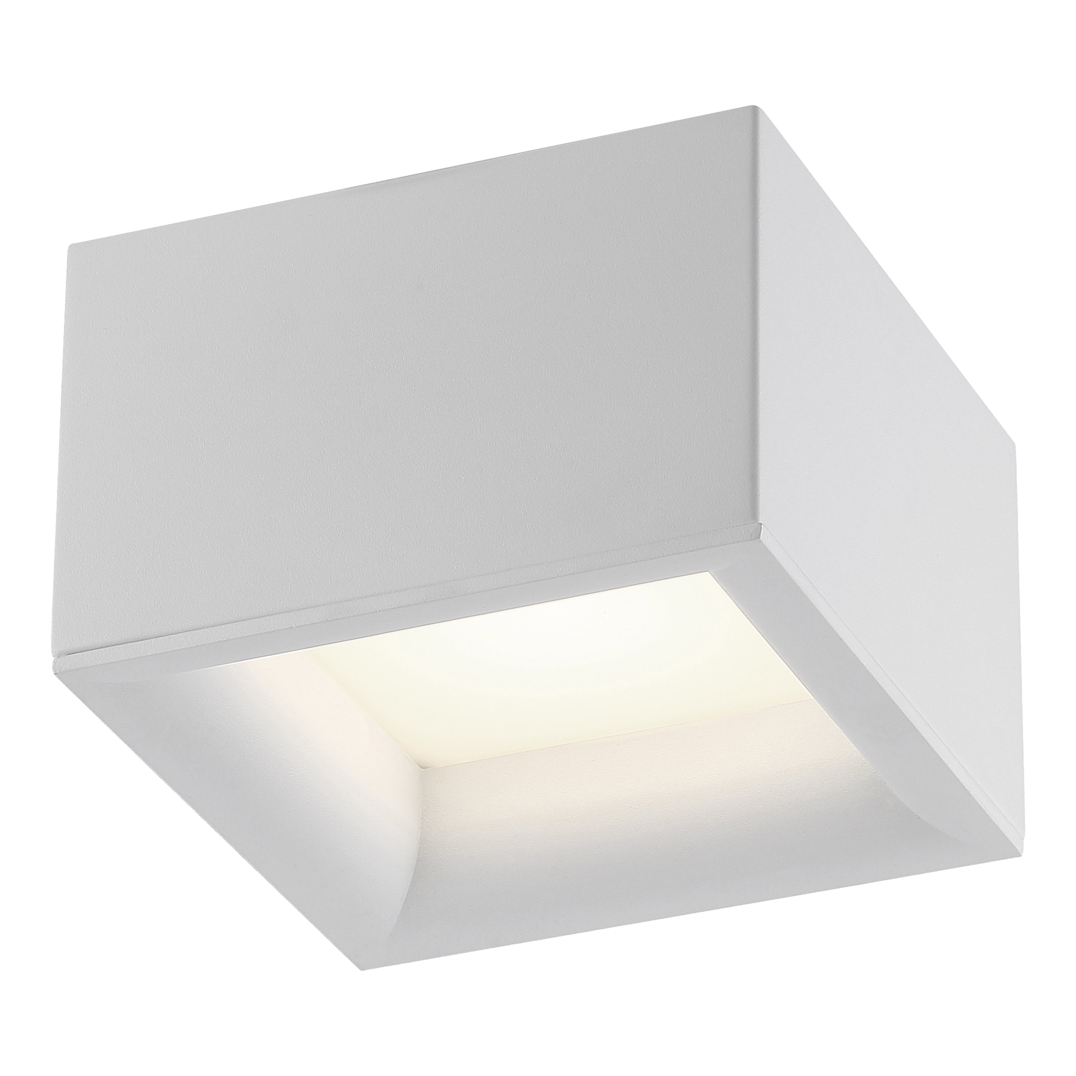 white dual voltage led flush mount