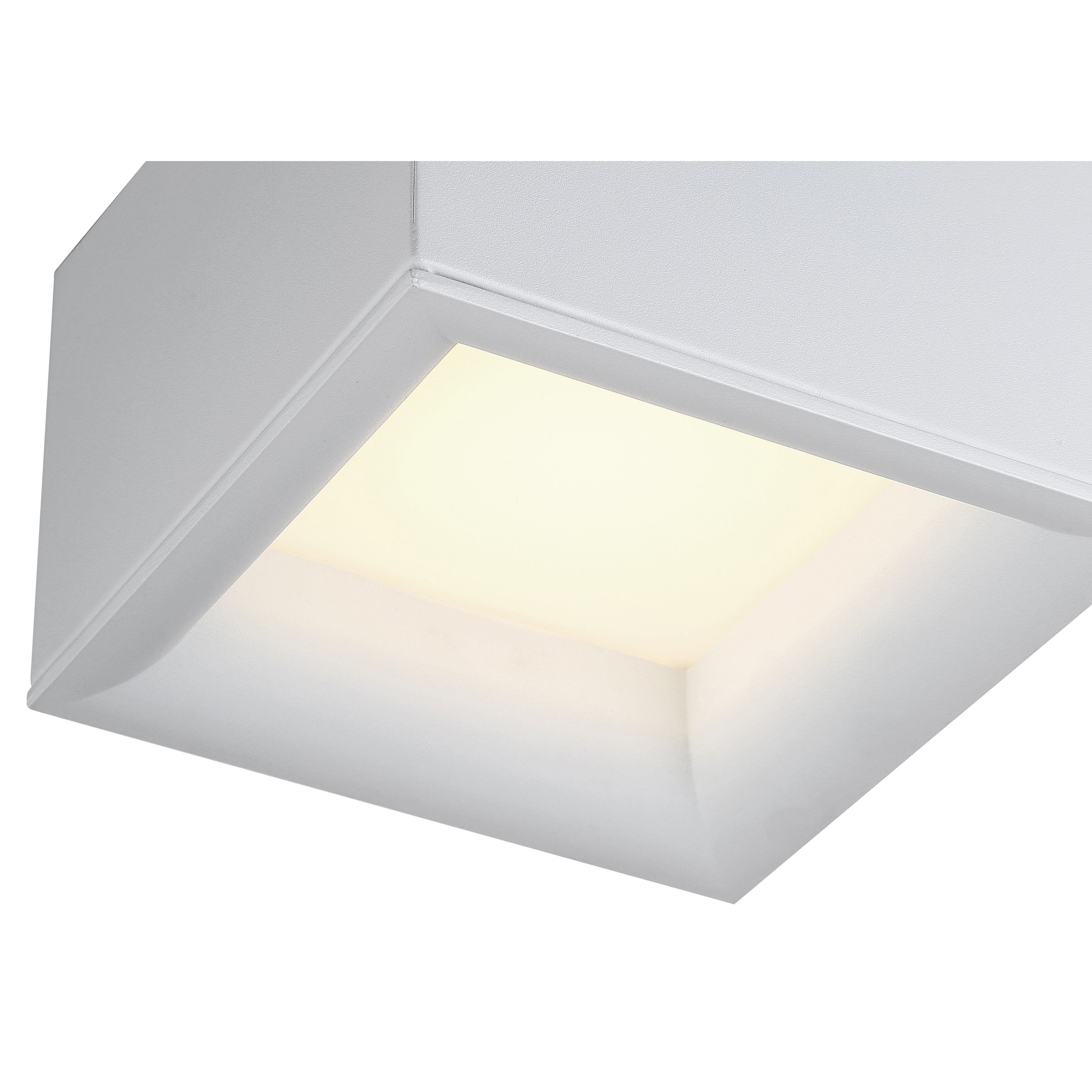 white dual voltage led flush mount