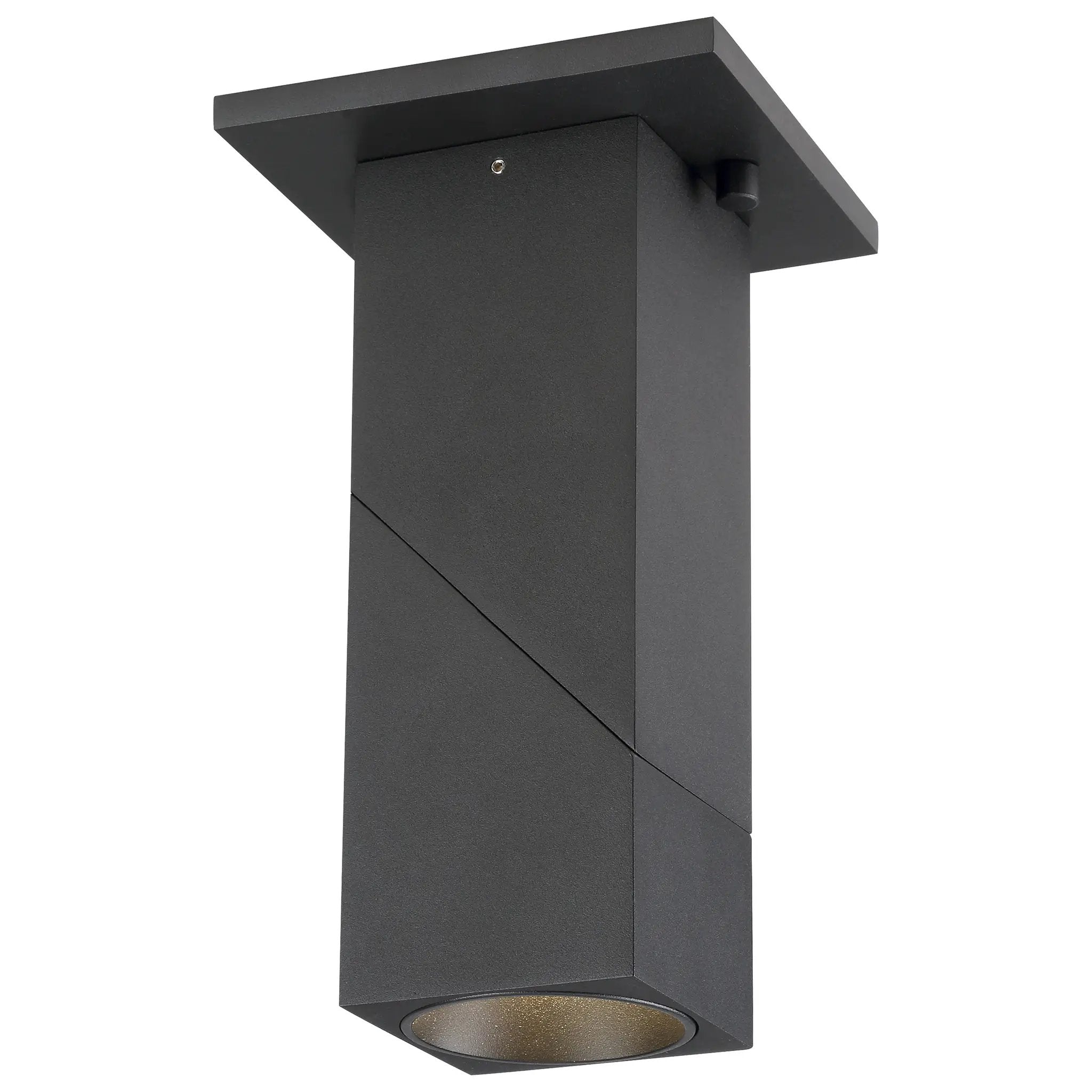 black dual voltage adjustable led spotlight